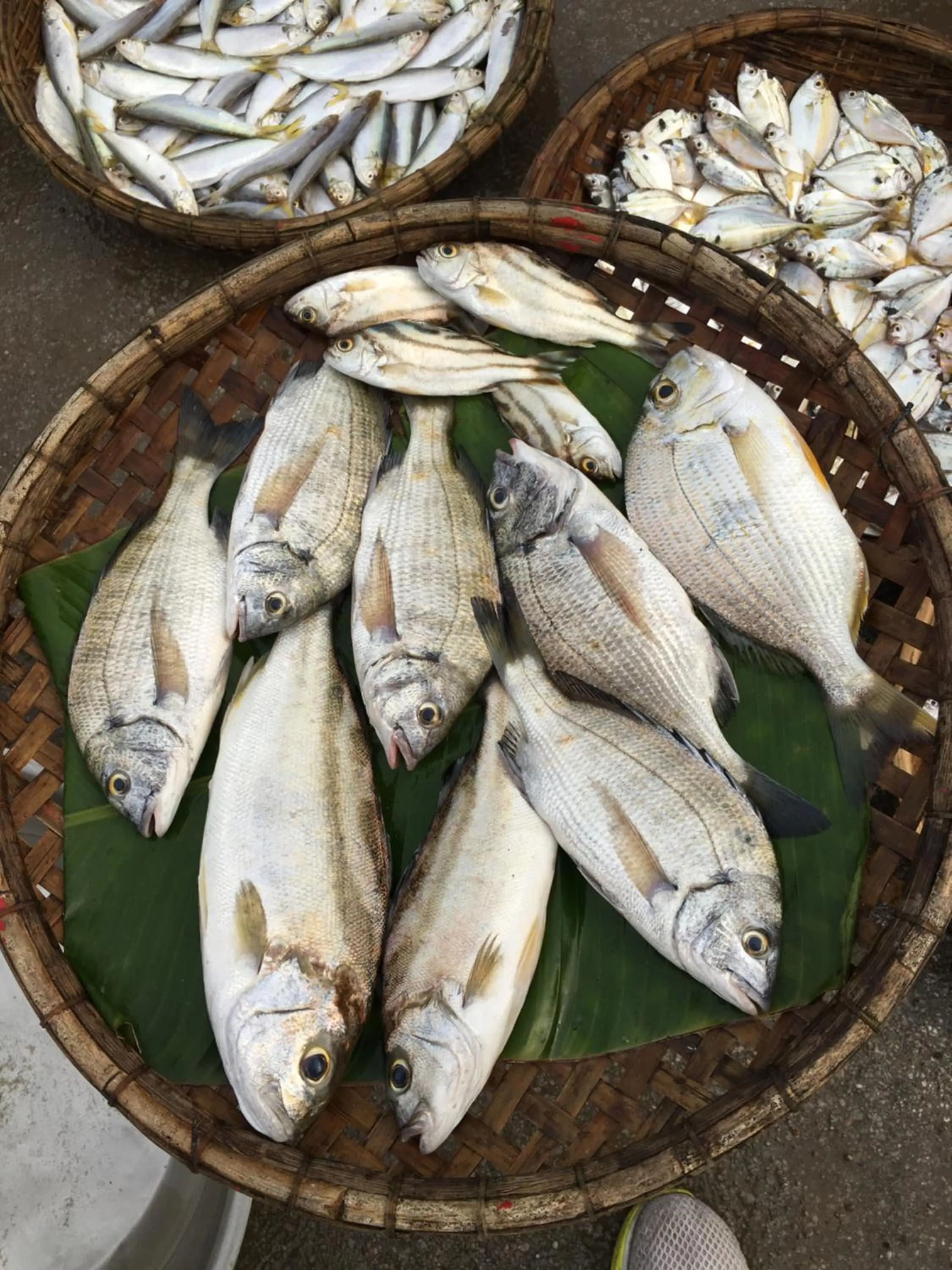 Food and drinks in Ngoc Linh Villas