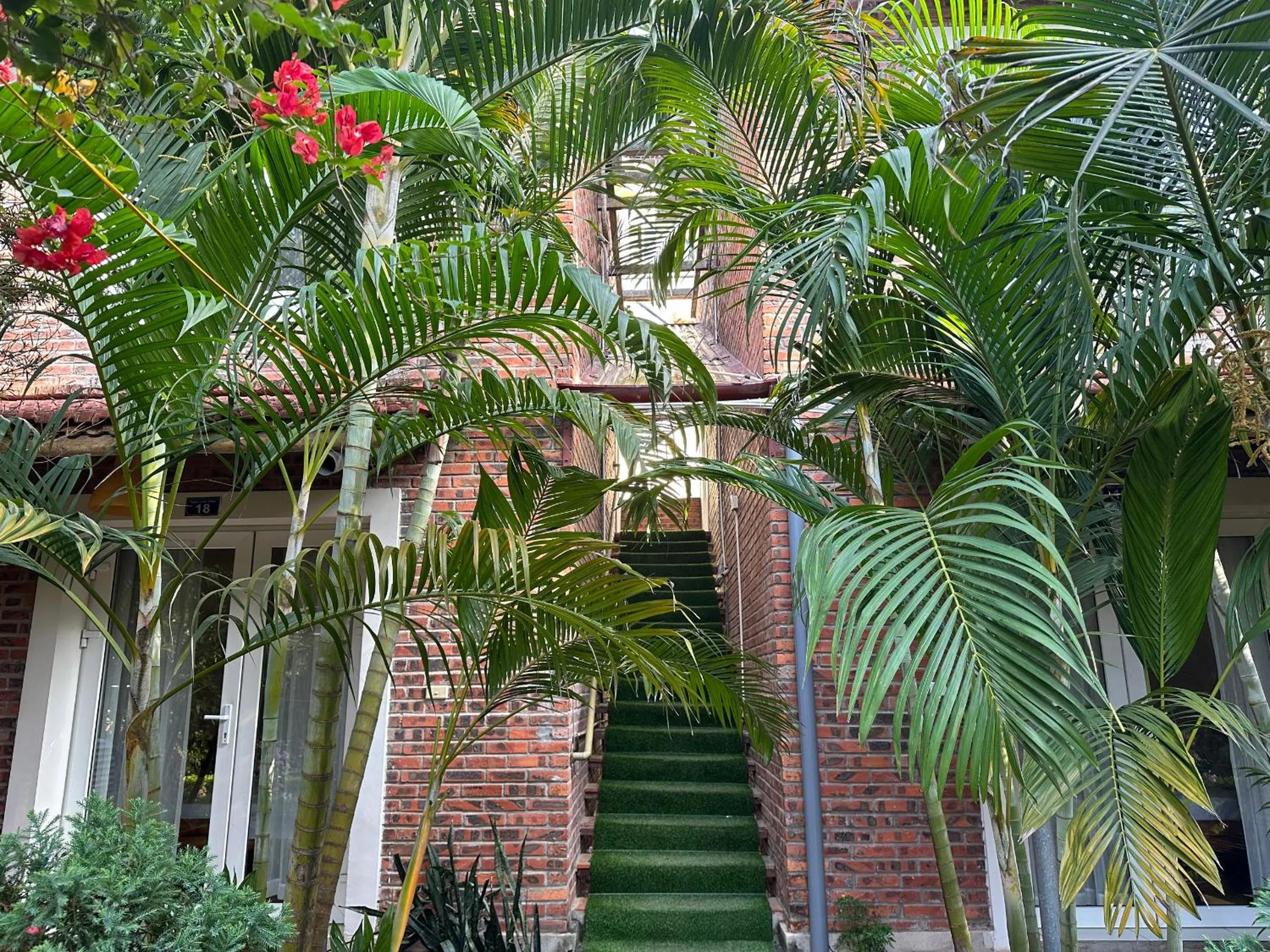 Spring in Ngoc Linh Villas