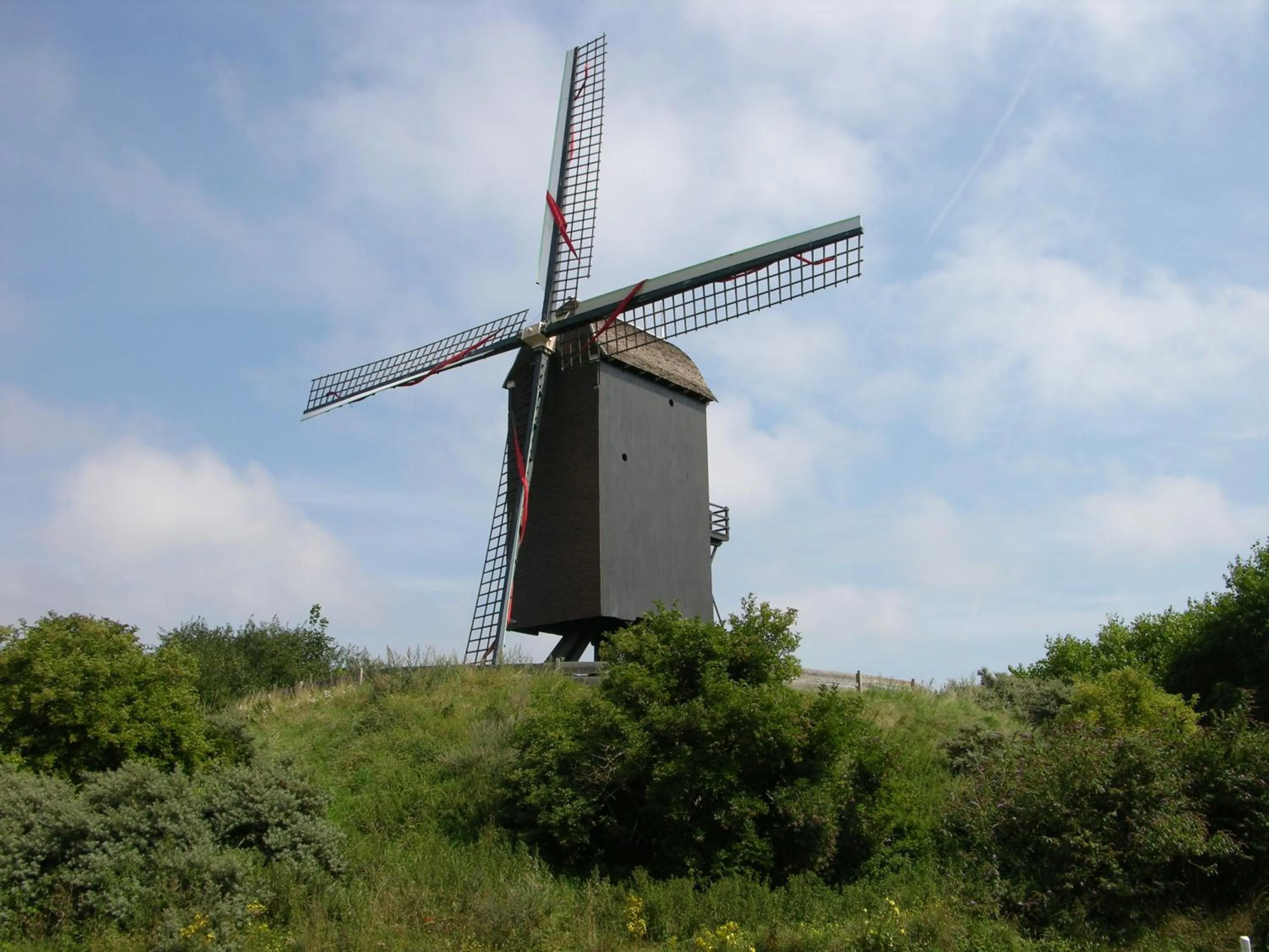 Area and facilities in Hotel Carnac