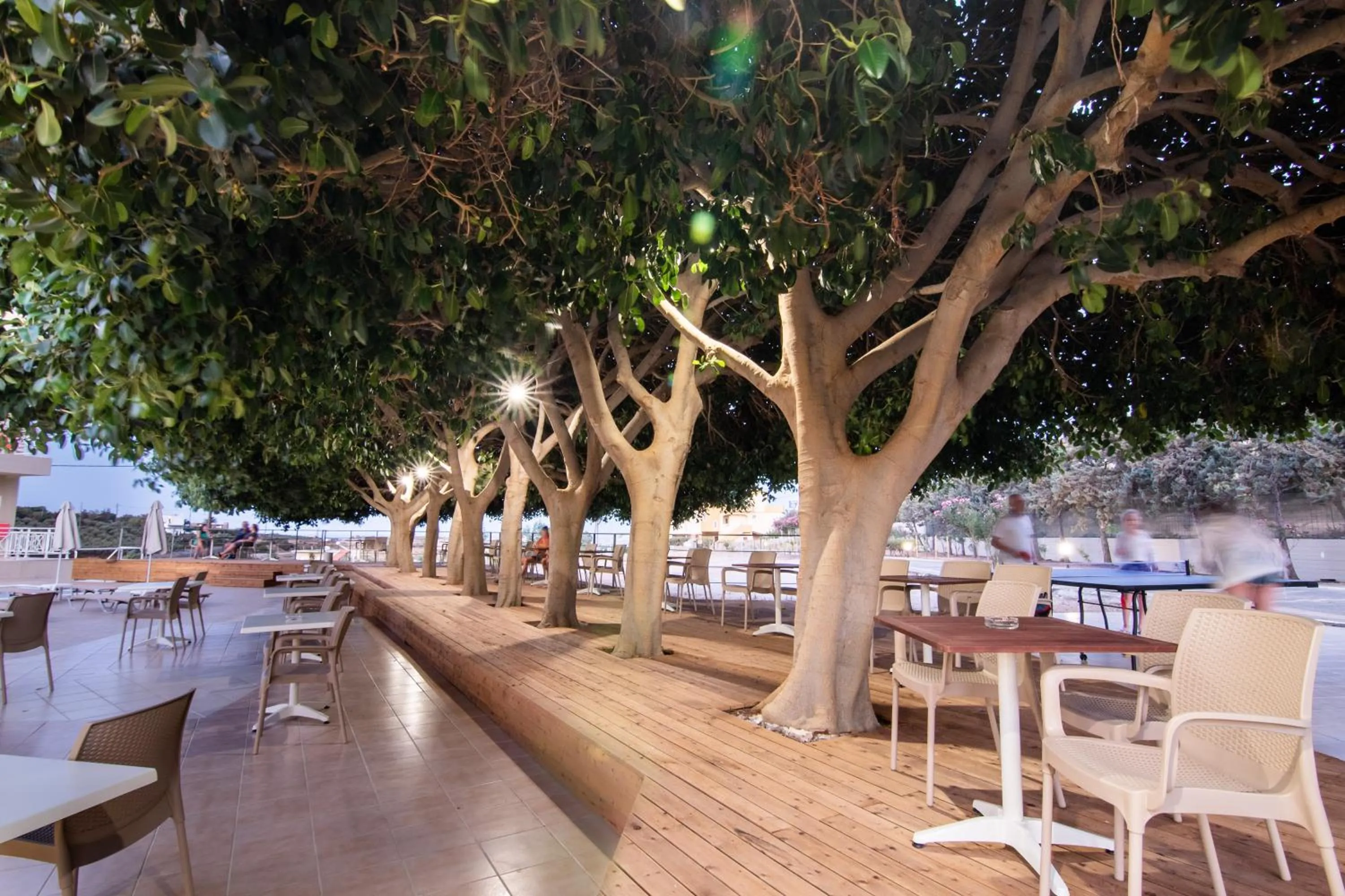 Balcony/Terrace in Chrissy's Paradise