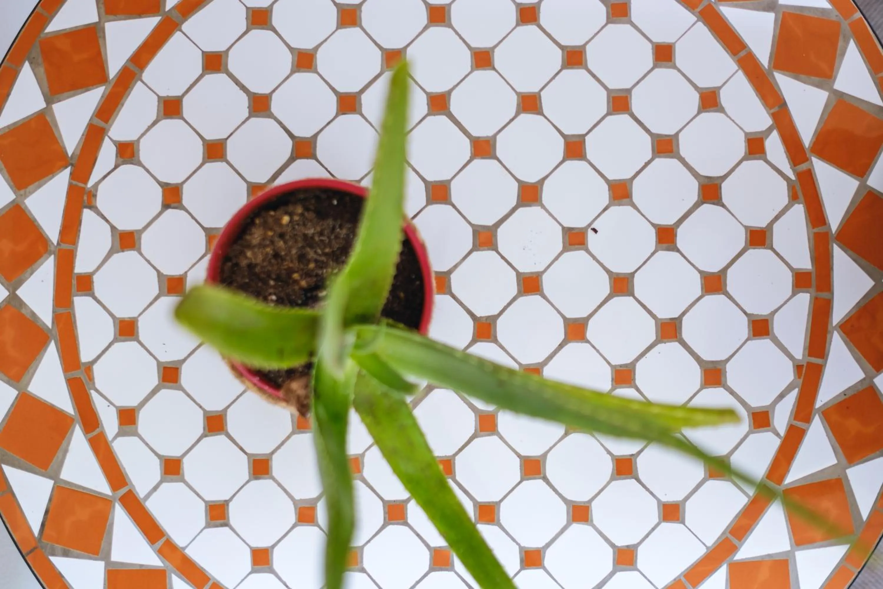 Decorative detail in Hotel Ciutat Jardi