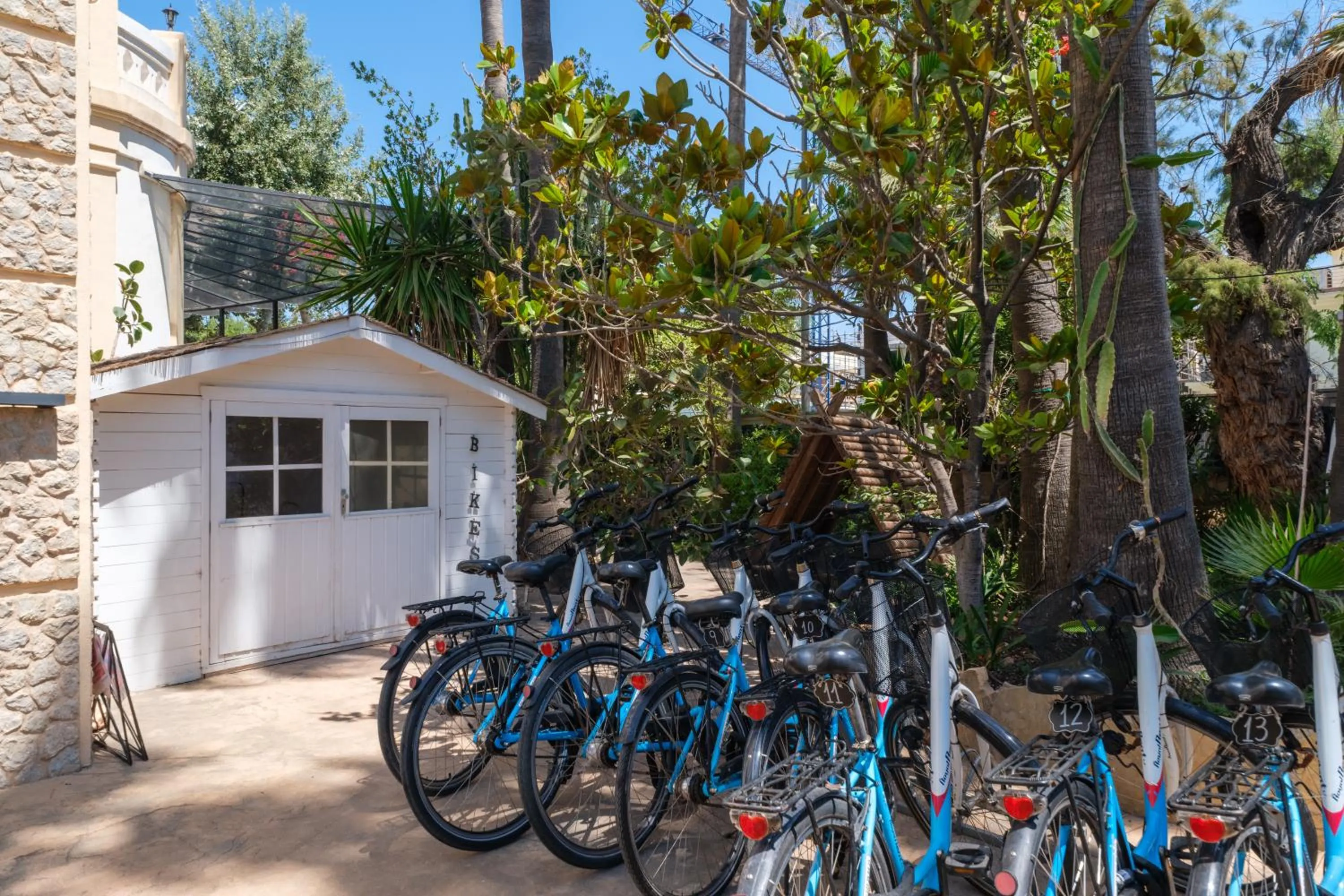 Garden in Hotel Ciutat Jardi