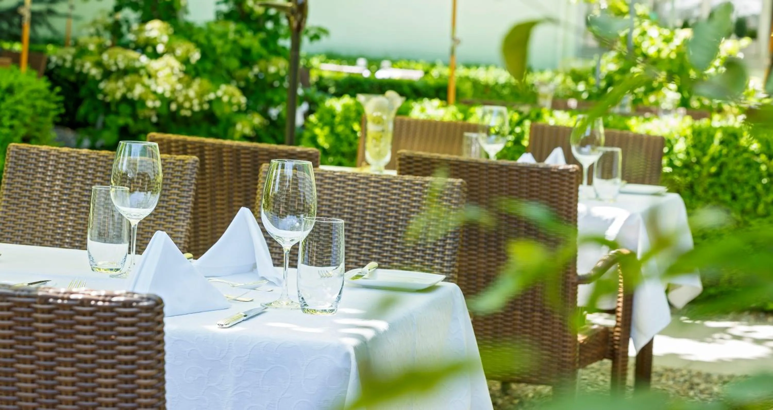 Restaurant/places to eat in Hotel Landgasthof Schönbühl