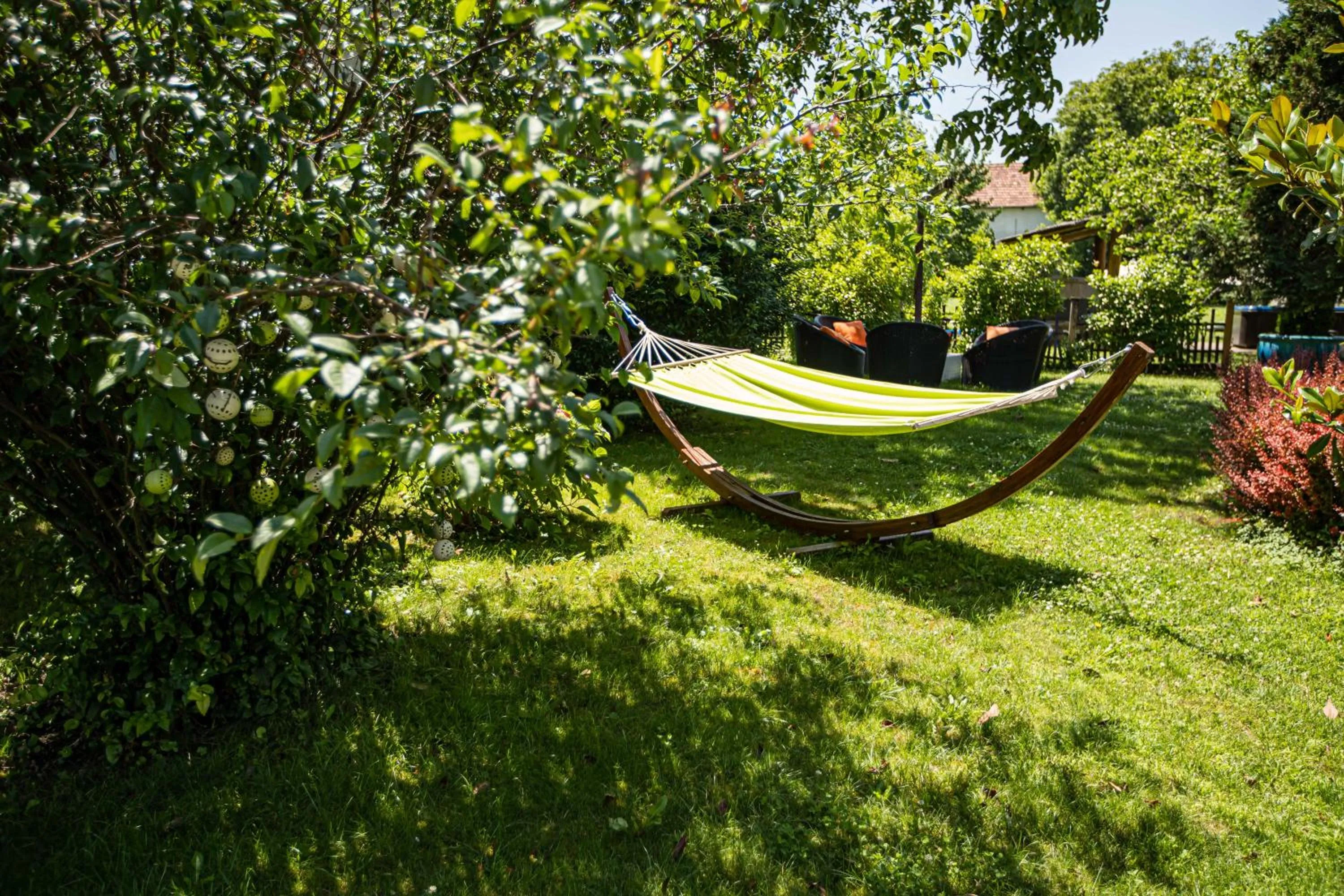 Garden in Villa Venus