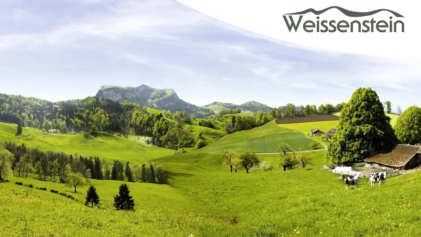 Neighbourhood in Gasthof National