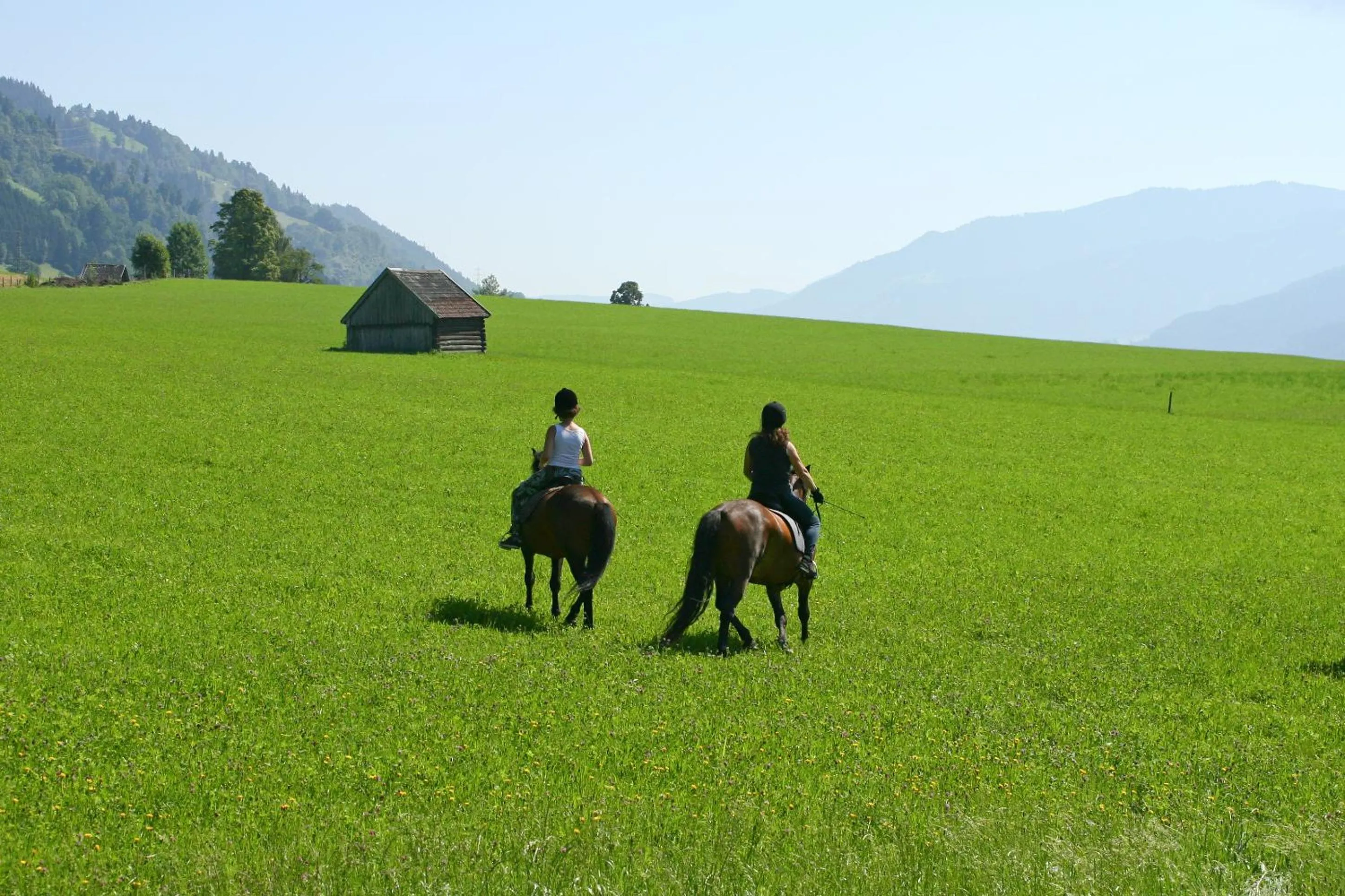 Horse-riding in Sport & Familienhotel Bärenwirt