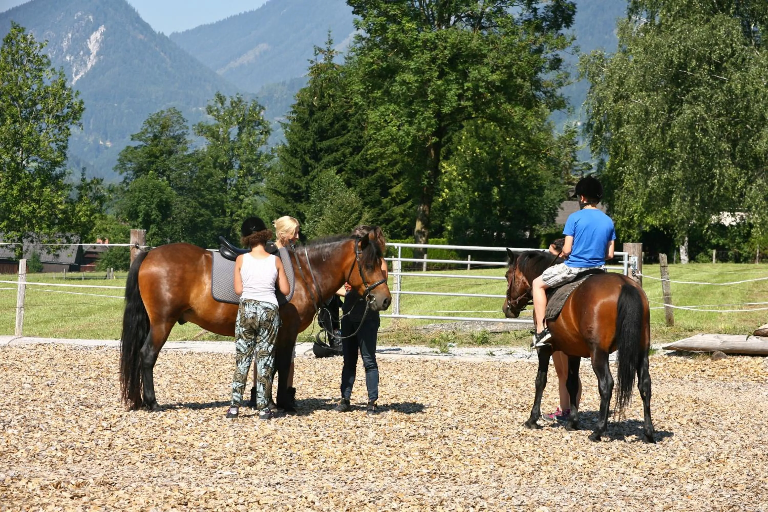 Horse-riding in Sport & Familienhotel Bärenwirt