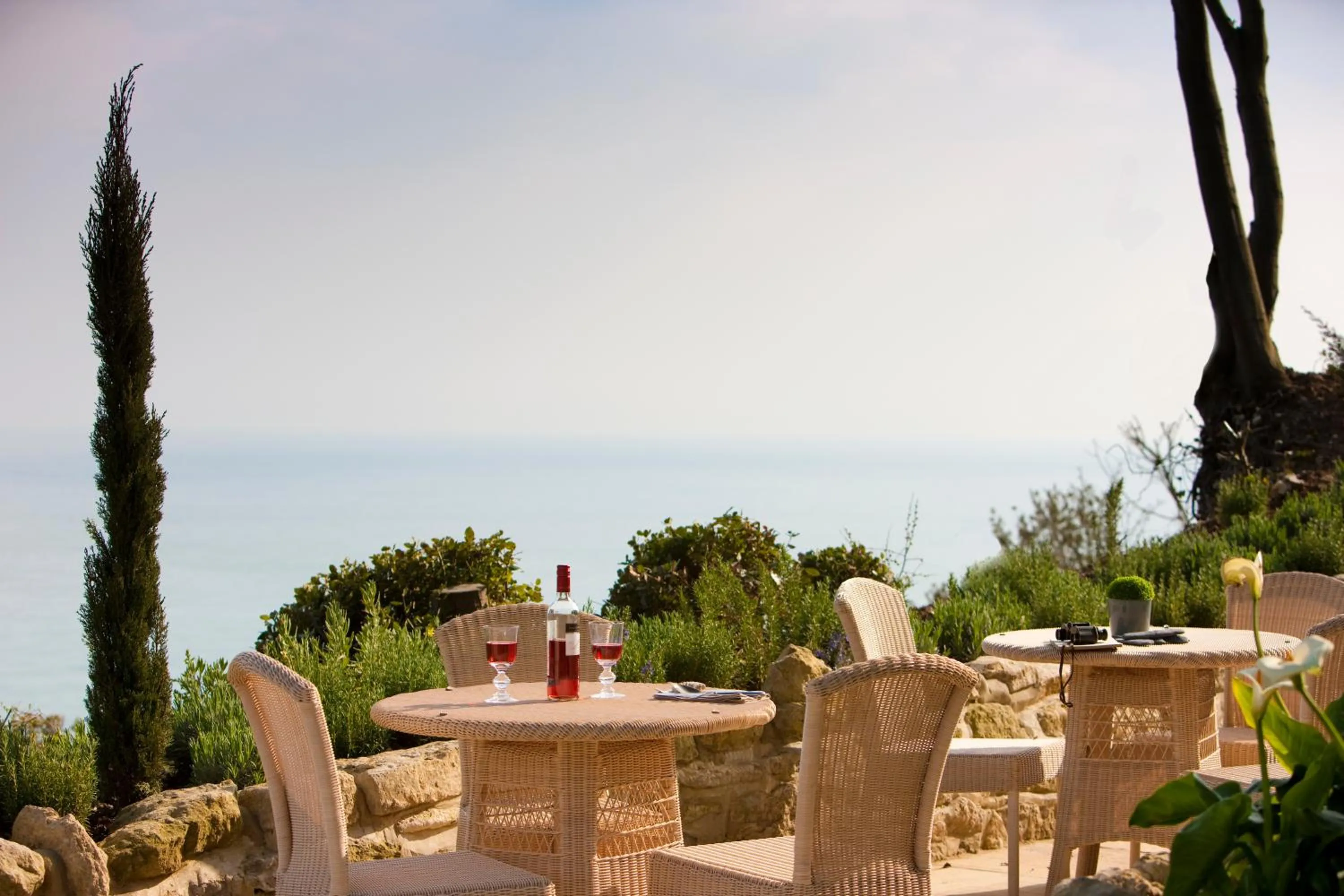 Garden in The Royal Hotel