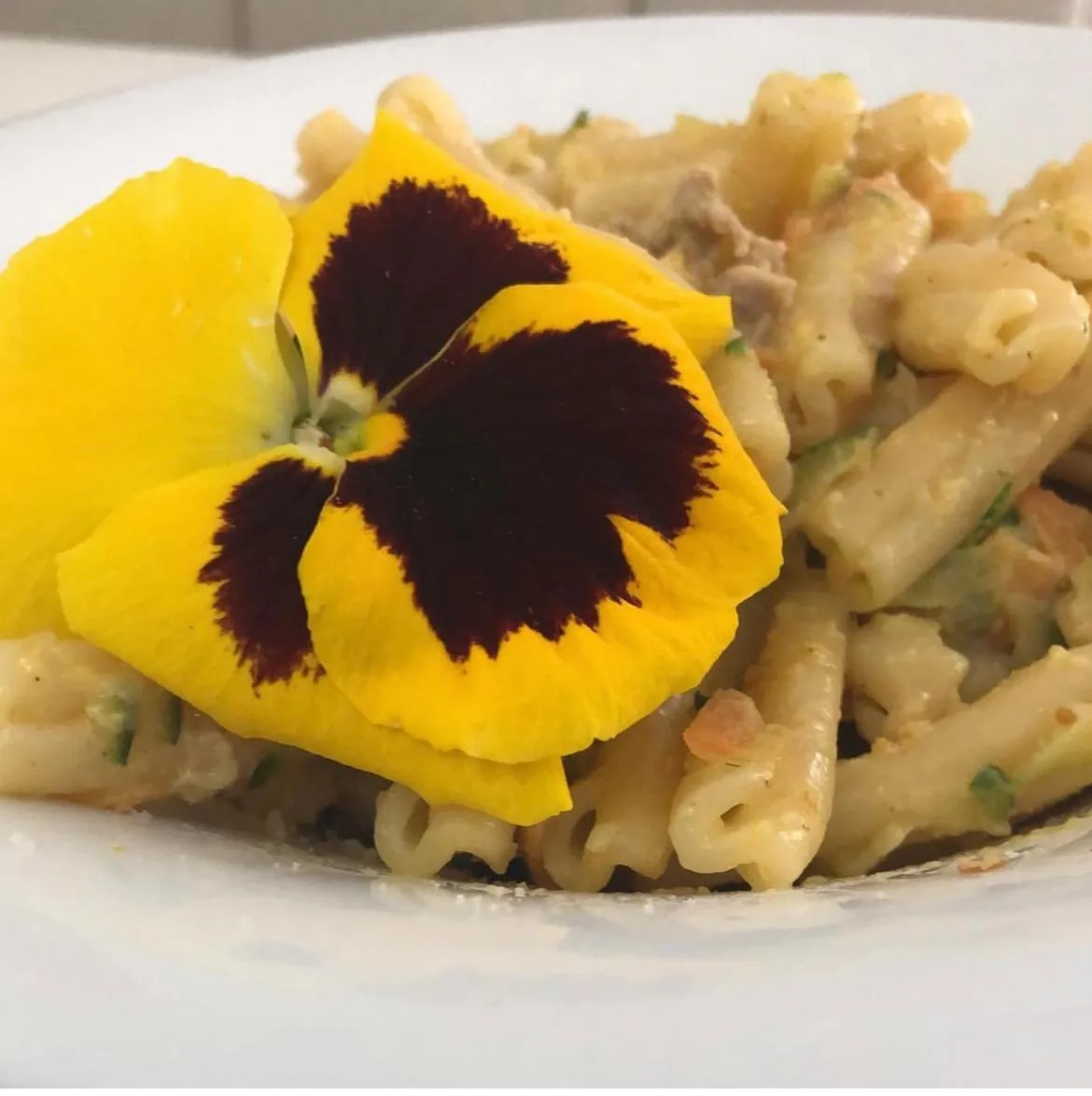 Food and drinks in Casa Oliva borgo del Benessere delle Marche