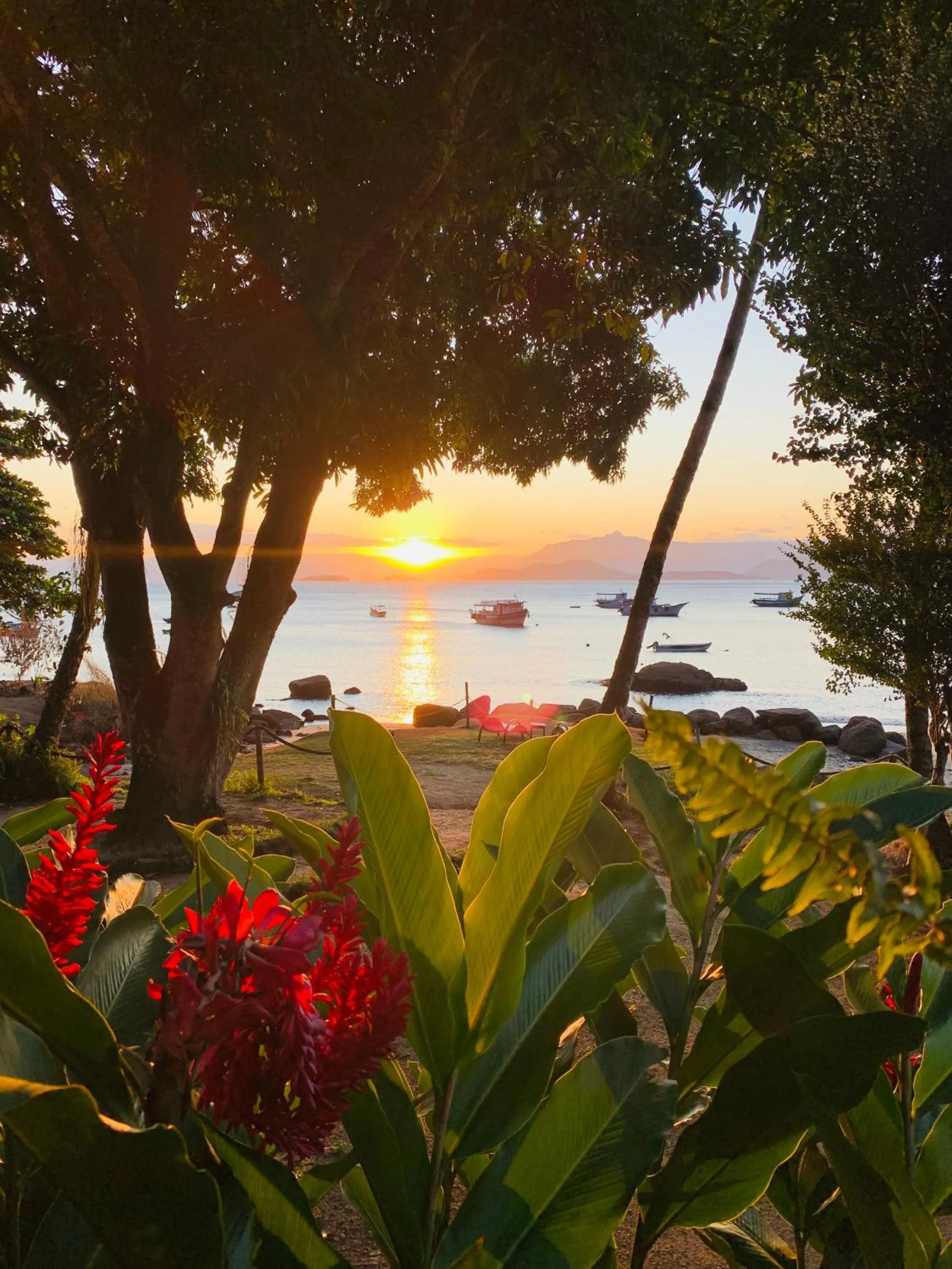 Natural landscape in Fauna