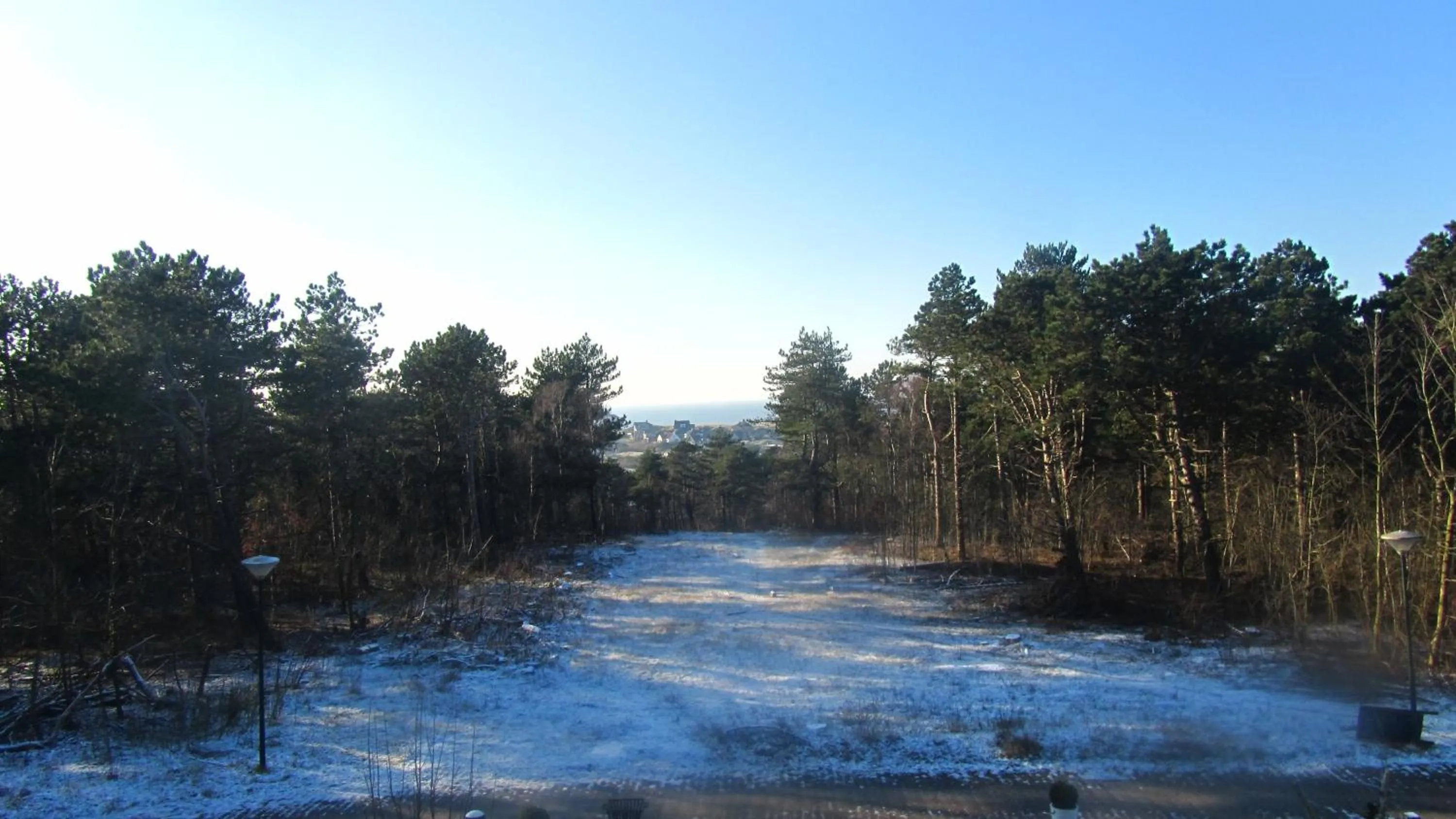 Natural landscape in Landgoed Huize Glory