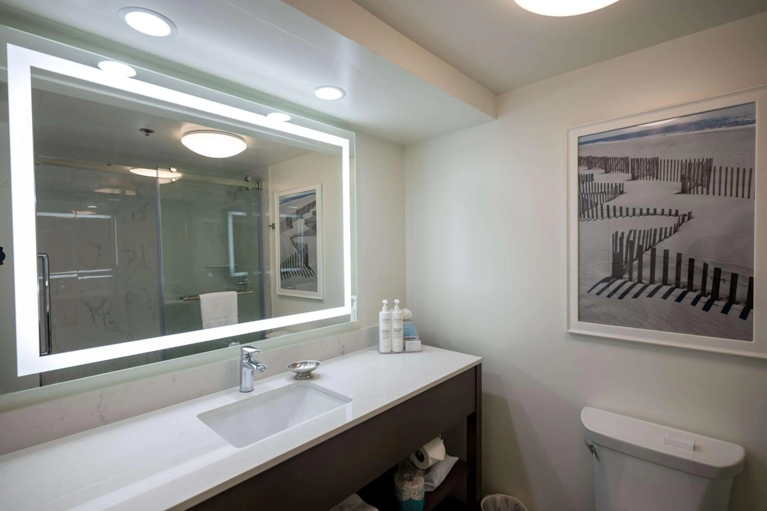 Bathroom in Hampton Inn by Hilton San Diego - Kearny Mesa