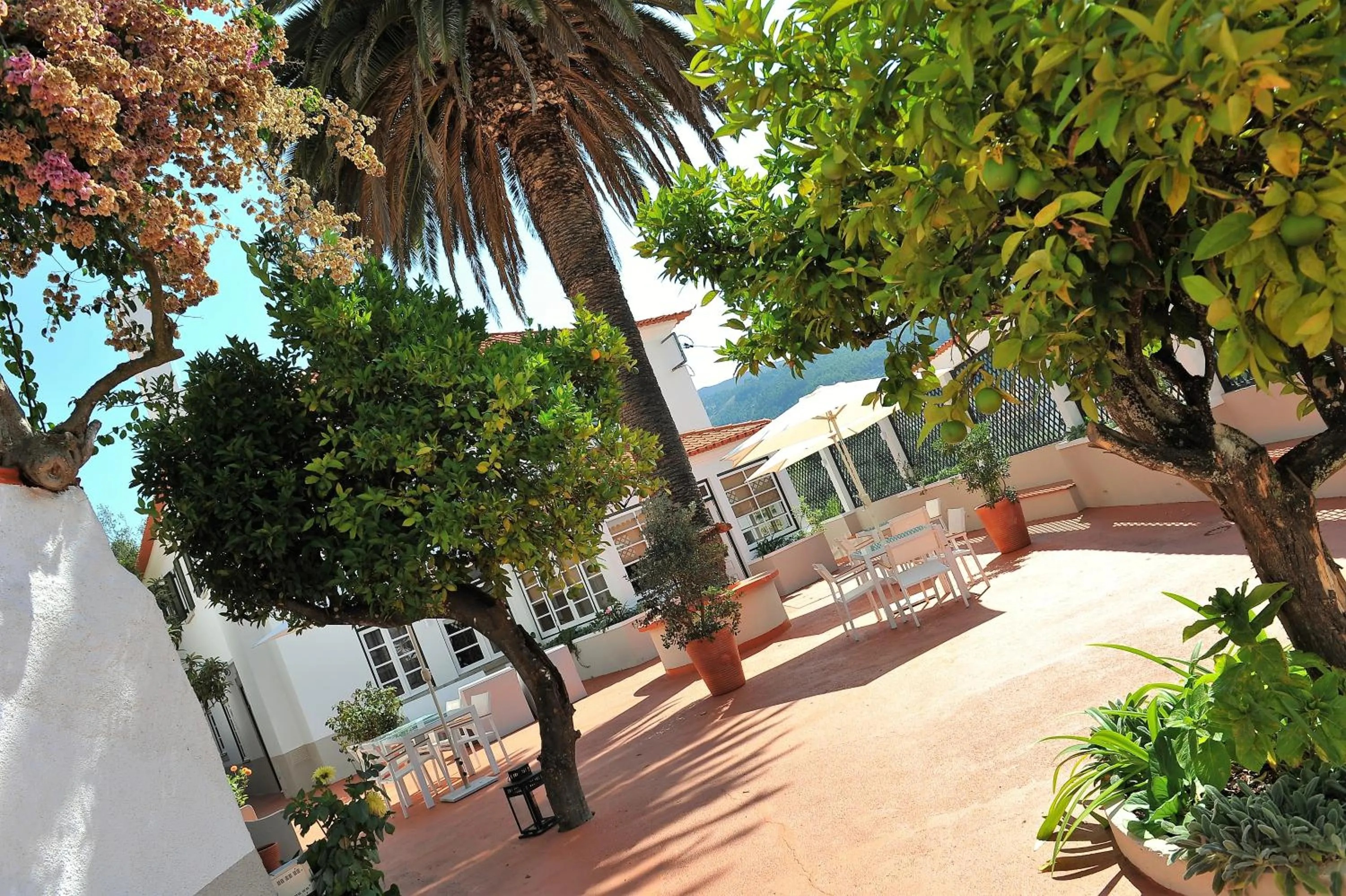 Patio in Quinta da Palmeira - Country House Retreat & Spa