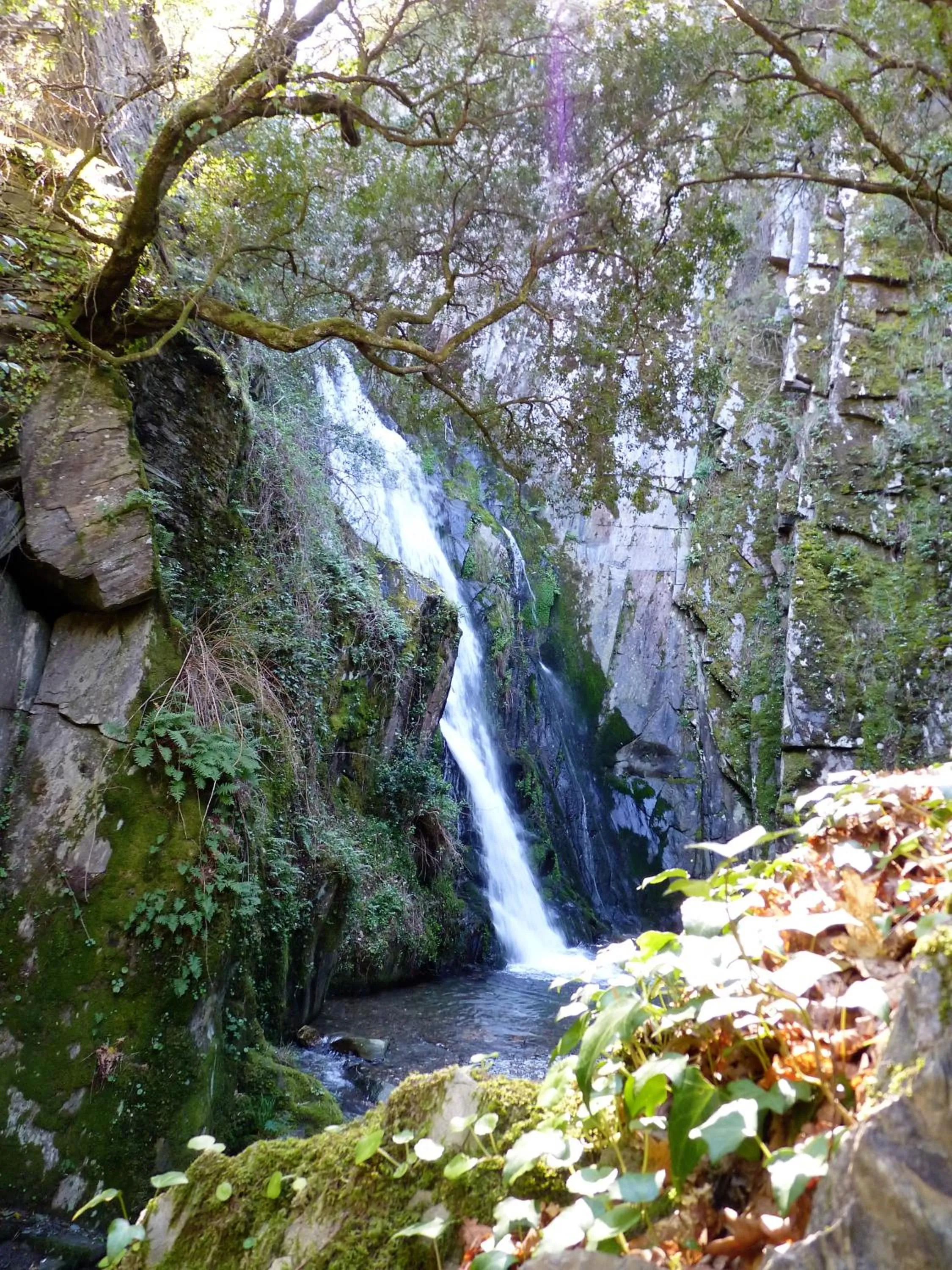Natural landscape in Quinta da Palmeira - Country House Retreat & Spa