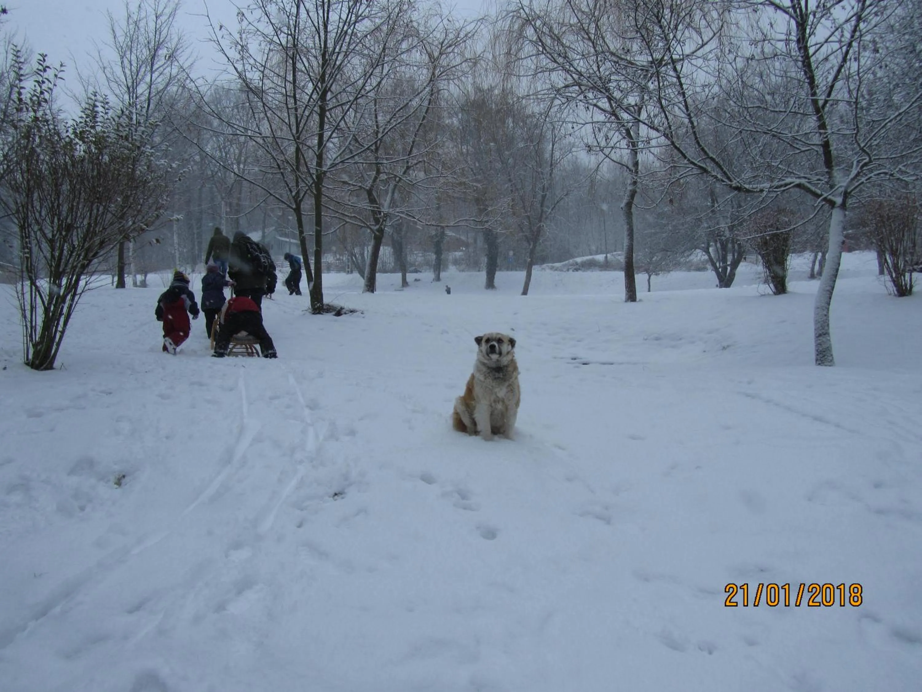 Sports in Hotel Síkfőkút