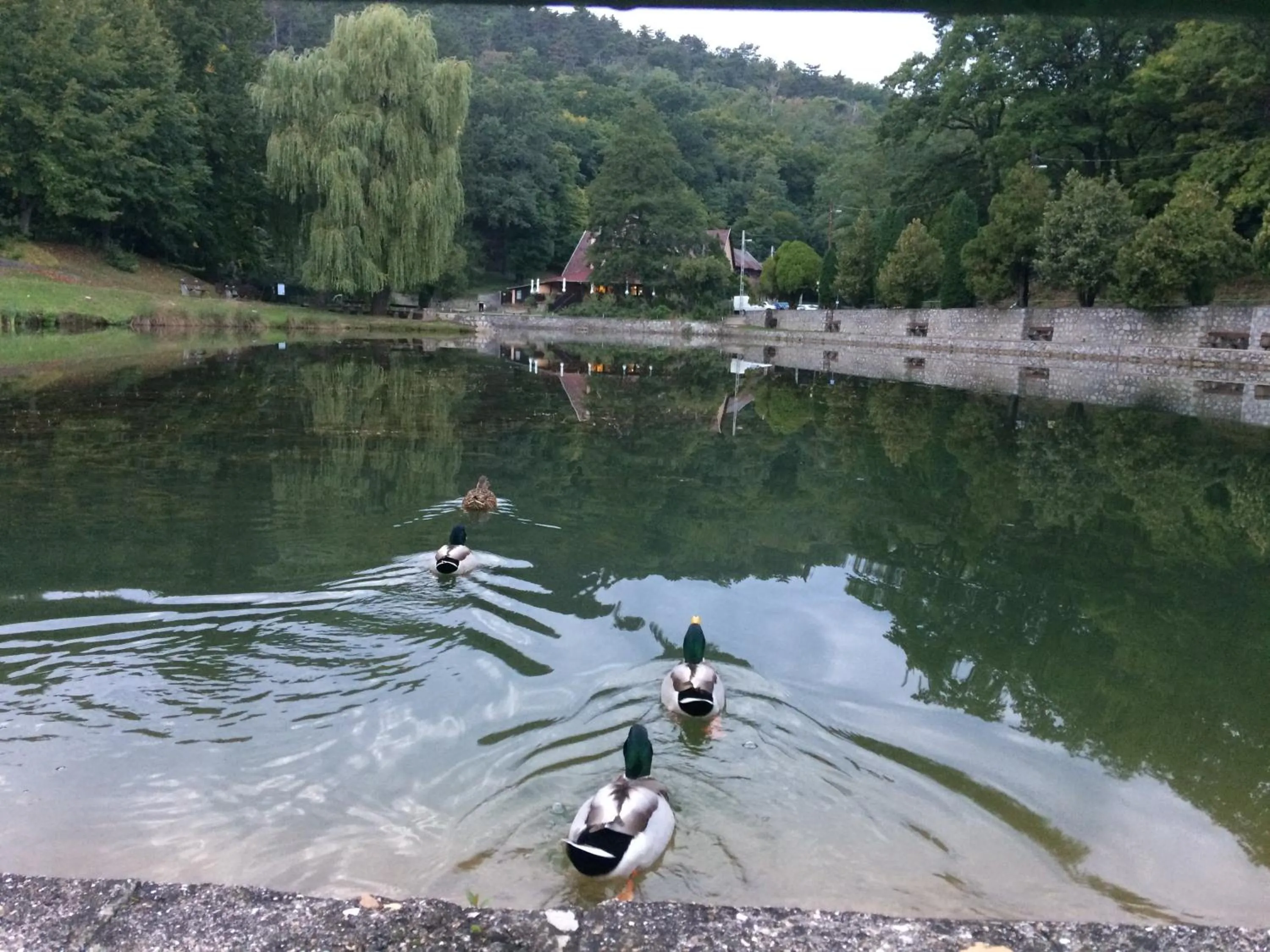 Property building in Hotel Síkfőkút