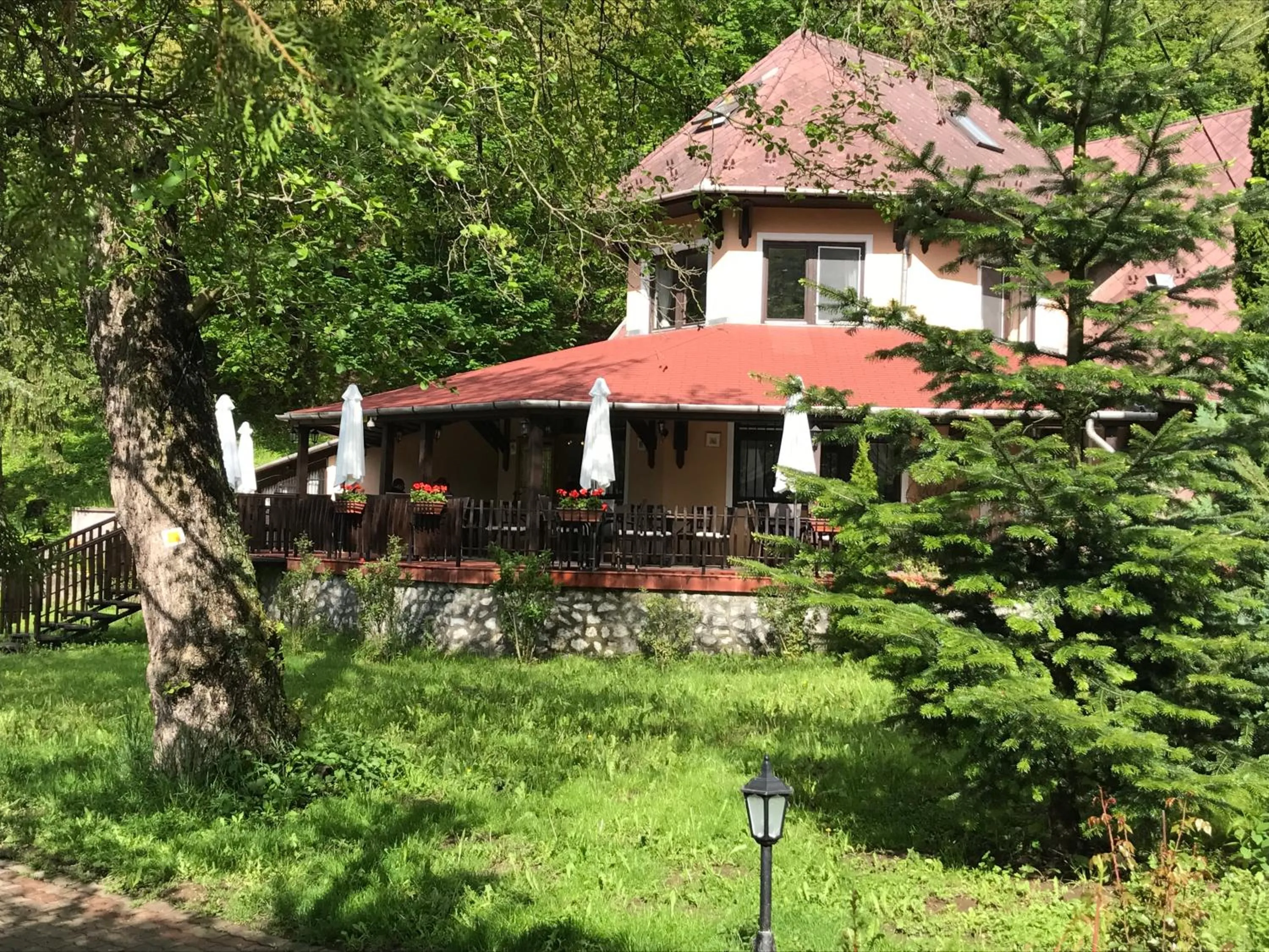 Restaurant/places to eat in Hotel Síkfőkút