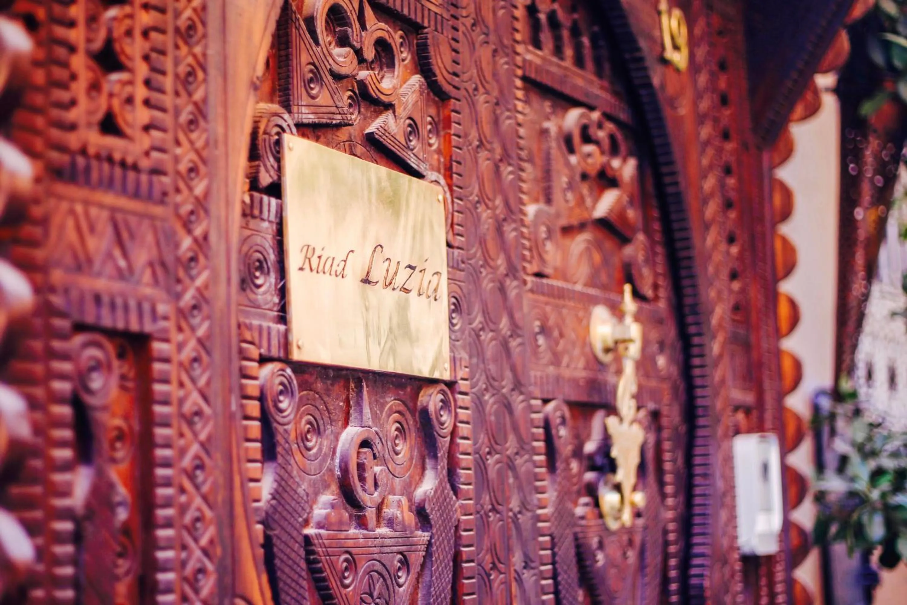 Certificate/Award in Riad Luzia