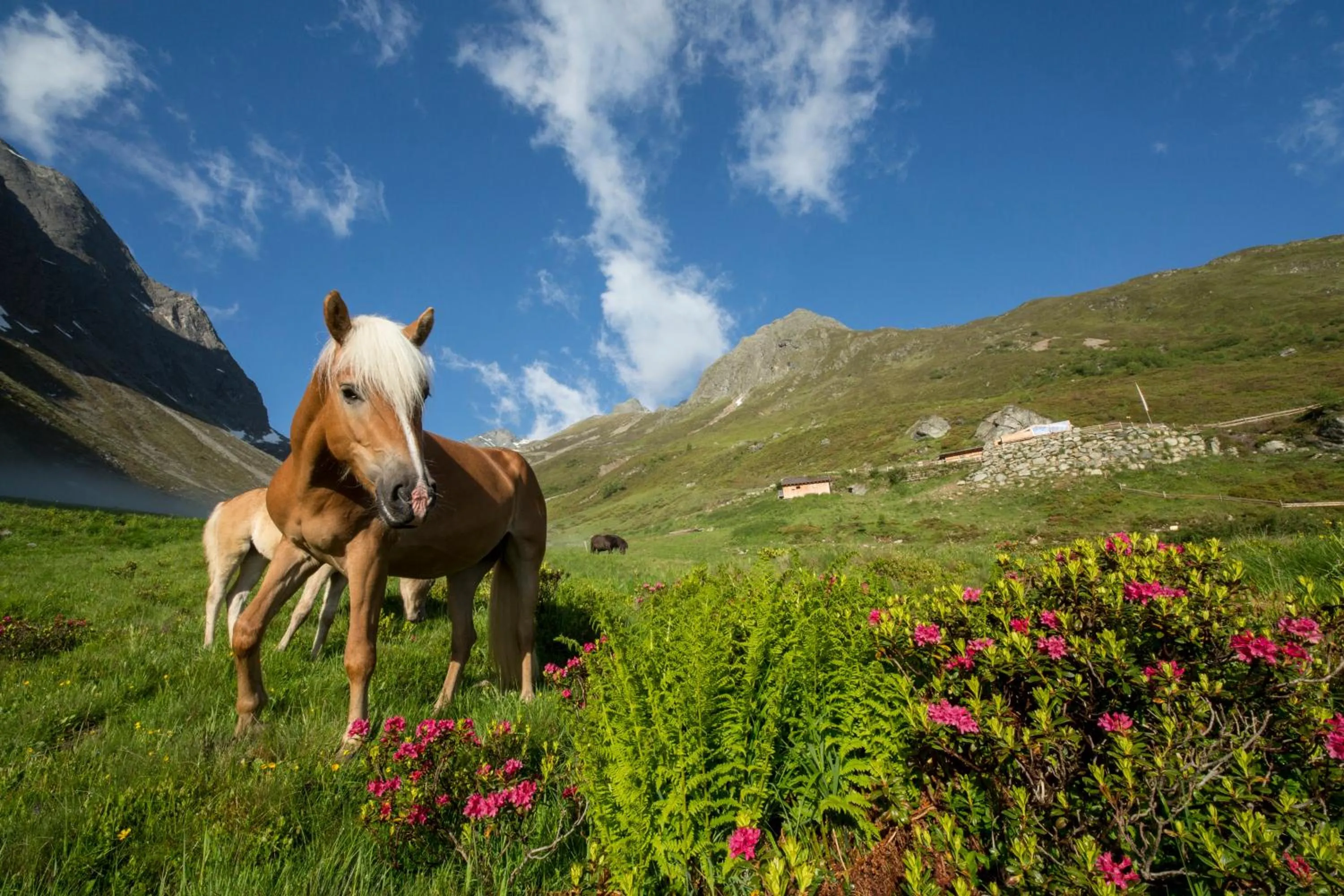 Staff in Hotel Bergwelt