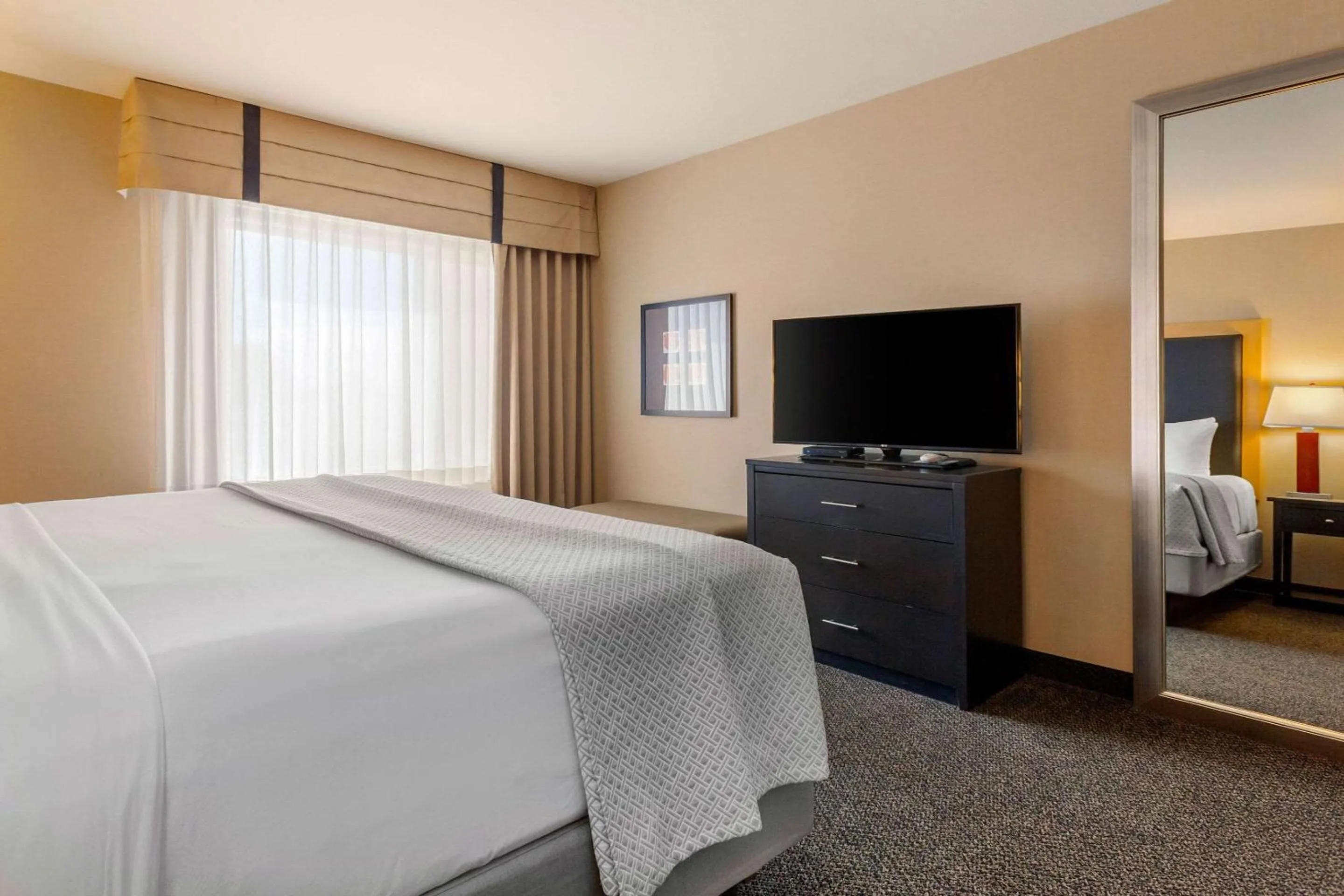 Bedroom in Cambria Hotel Ft Collins