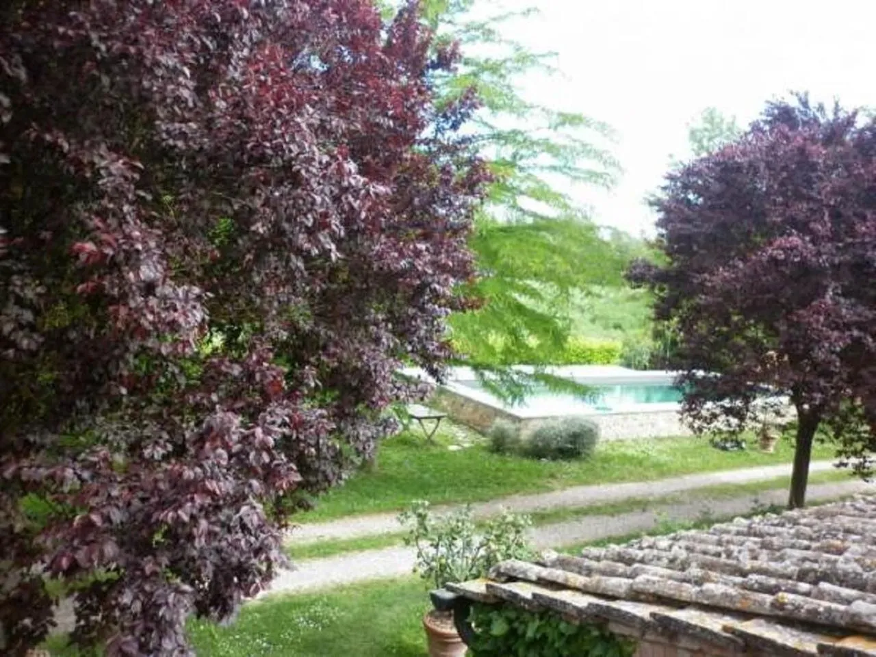 Pool view in B&B Palazzo a Merse