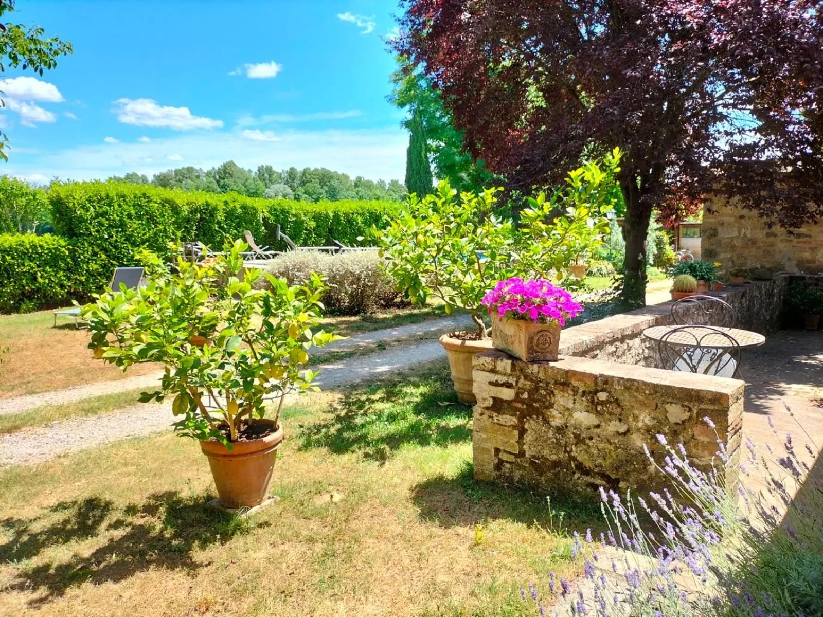 Garden in B&B Palazzo a Merse