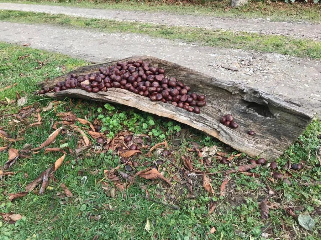 Decorative detail in B&B Palazzo a Merse