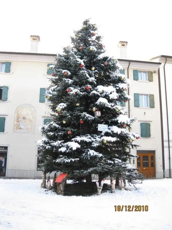 Albergo Centrale Tarcento