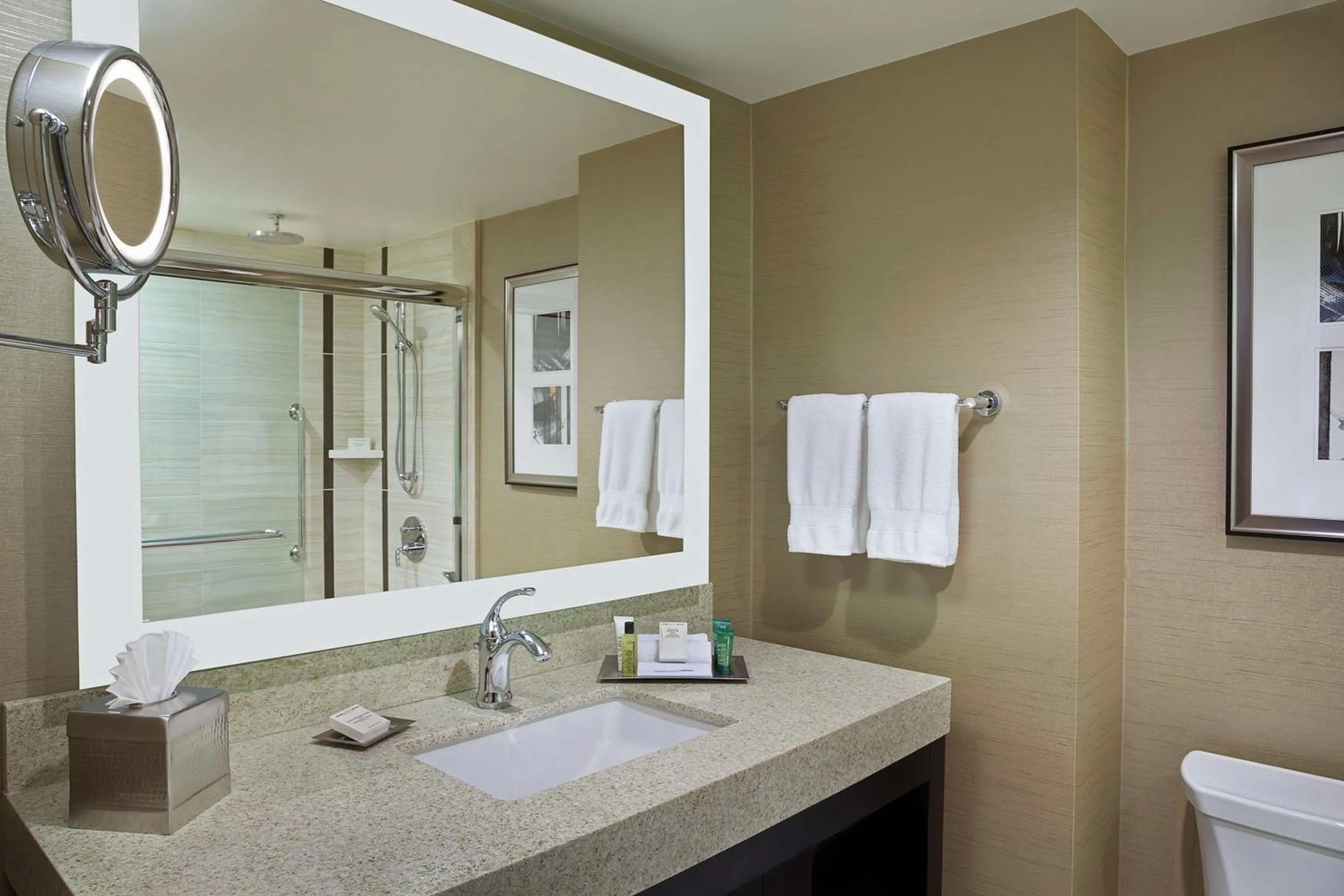 Bathroom in Hilton Toronto