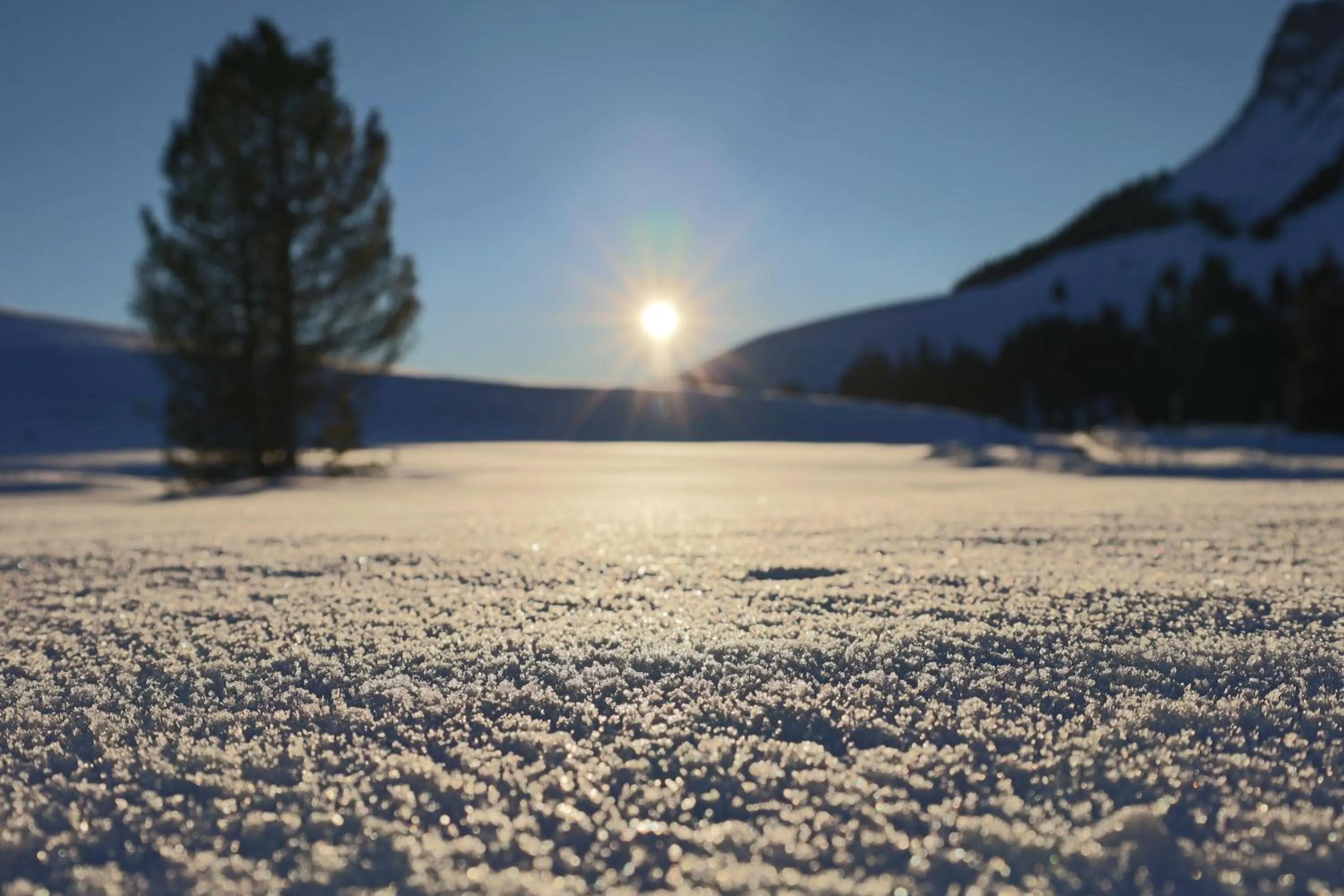 Winter in Hotel Sörenberg