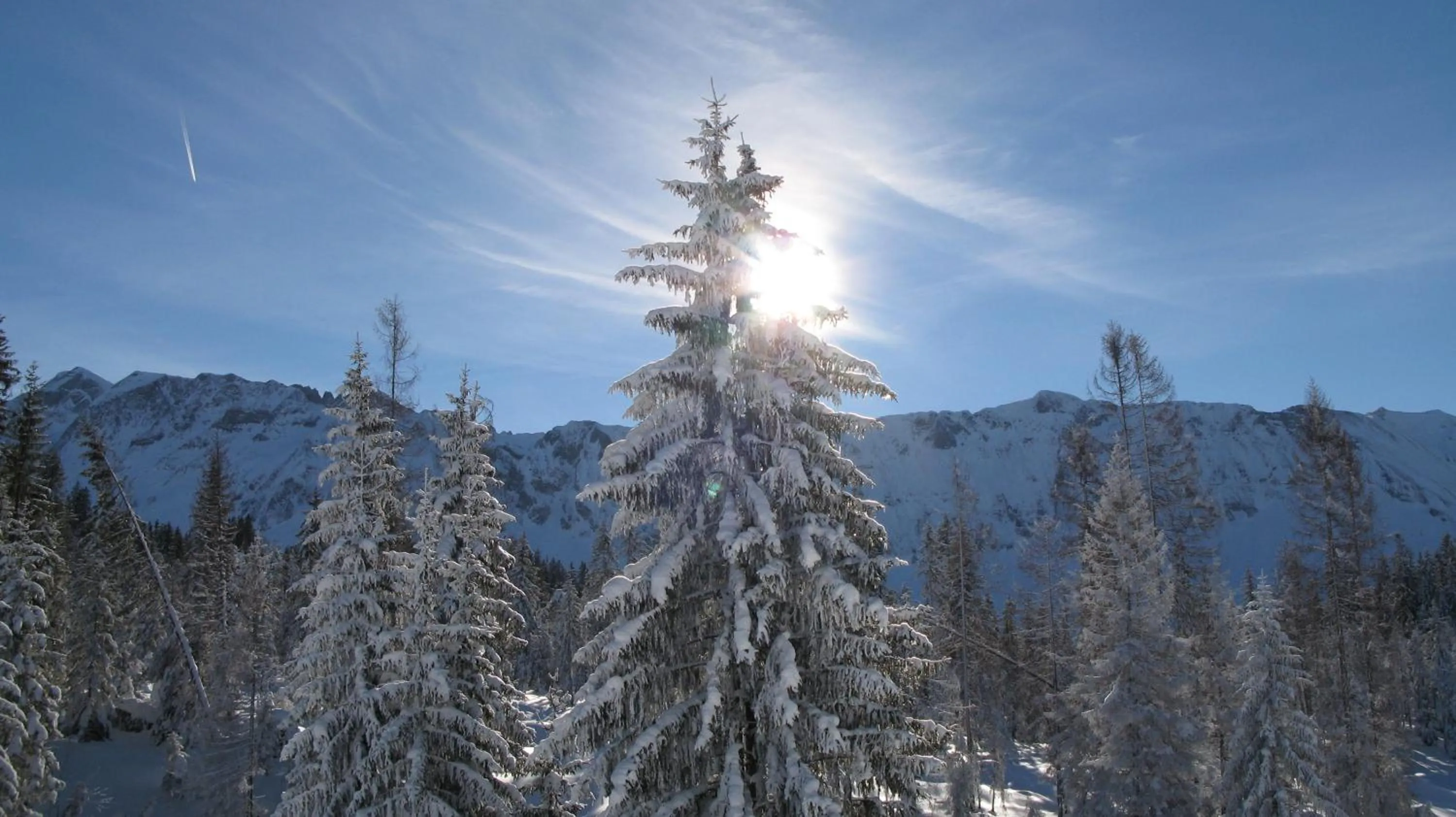 Natural landscape in Hotel Sörenberg