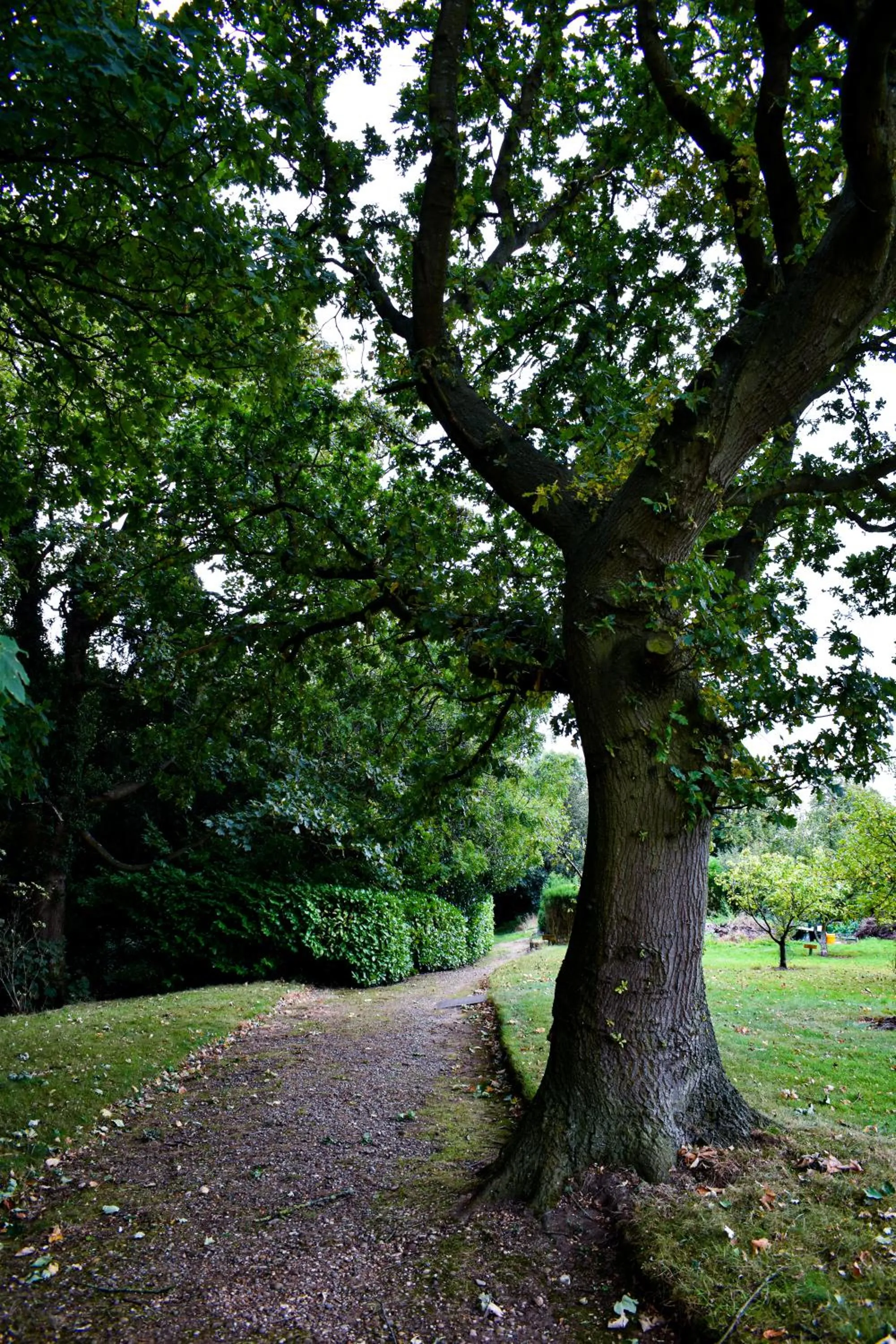 Natural landscape in Dovecliff Hall Hotel