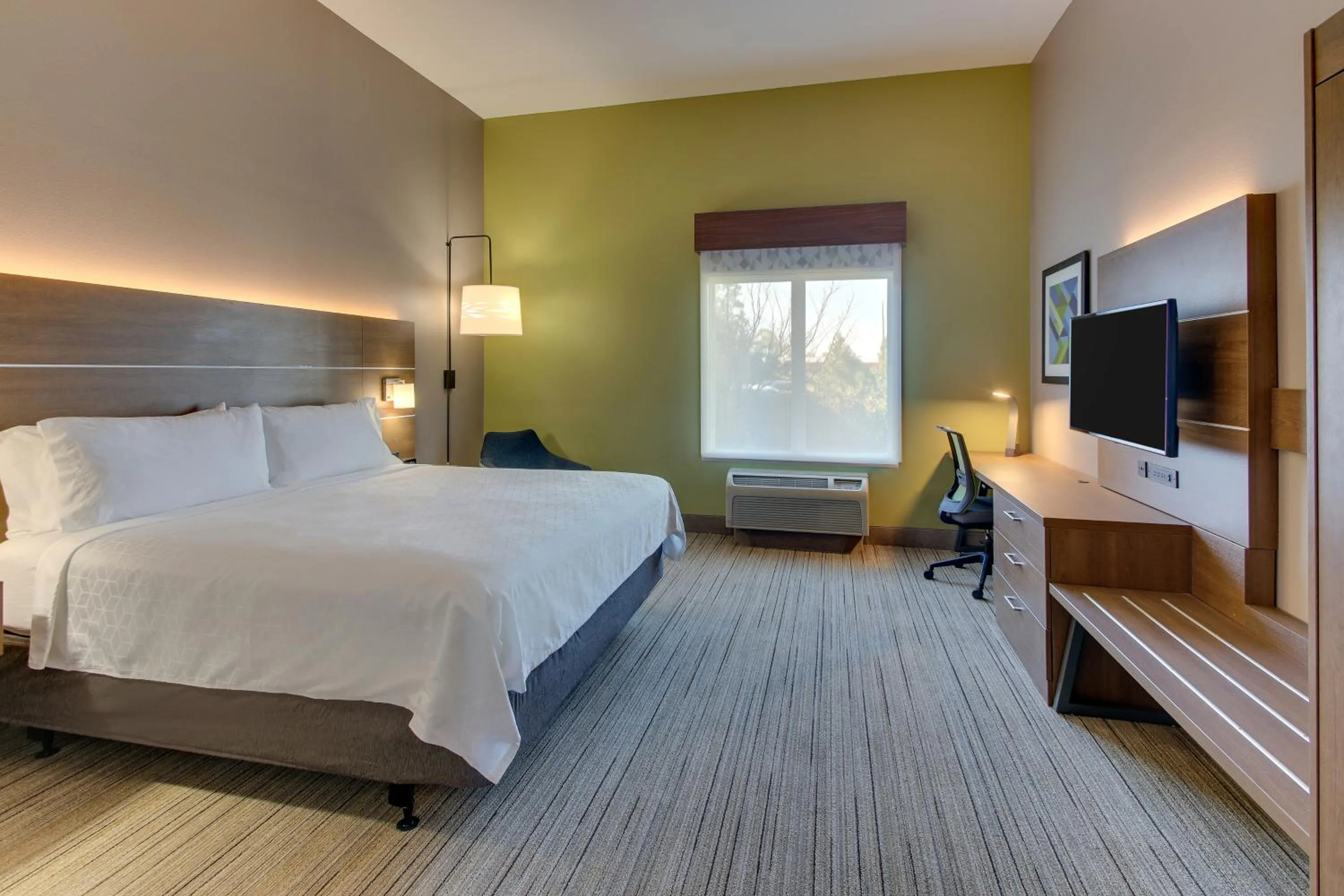 TV and multimedia, Bed in Holiday Inn Express & Suites Columbus - Ft Benning Maingate by IHG