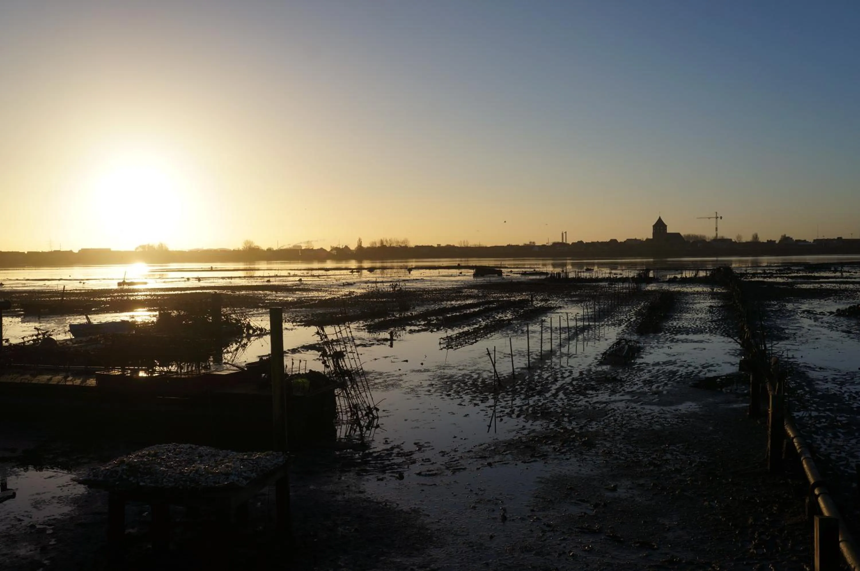 View (from property/room) in B&B Oesterhoeve