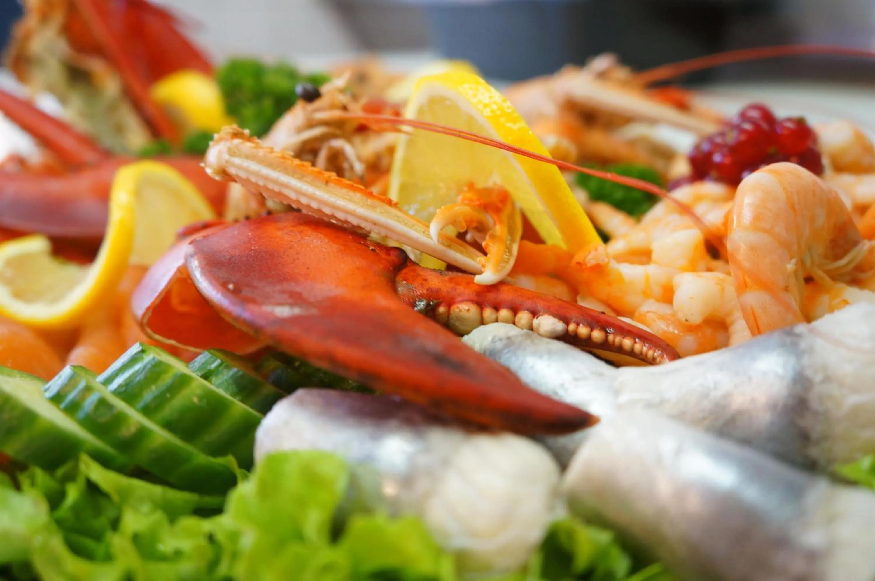 Restaurant/places to eat in B&B Oesterhoeve