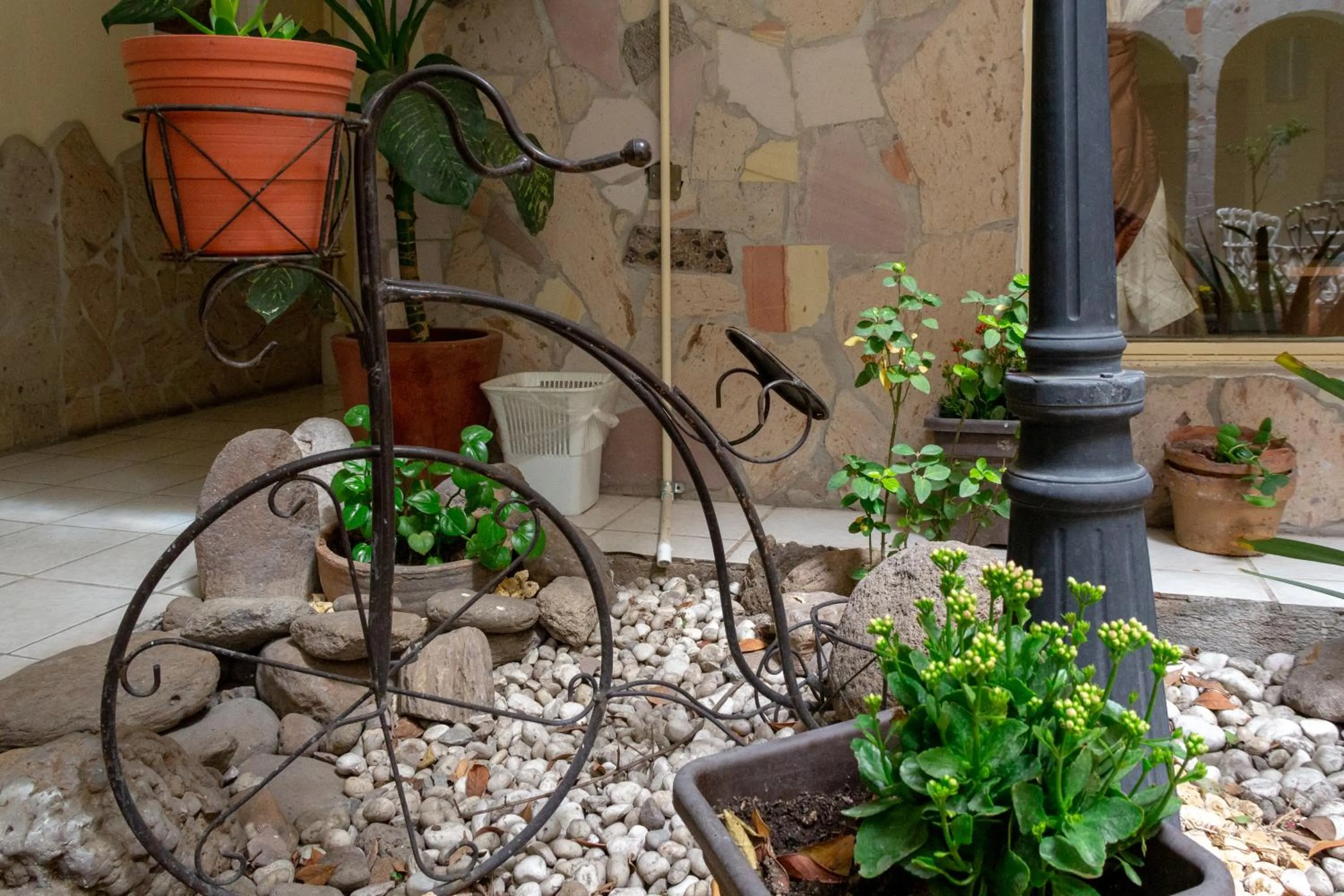 Garden in Pequeno Gran Hotel