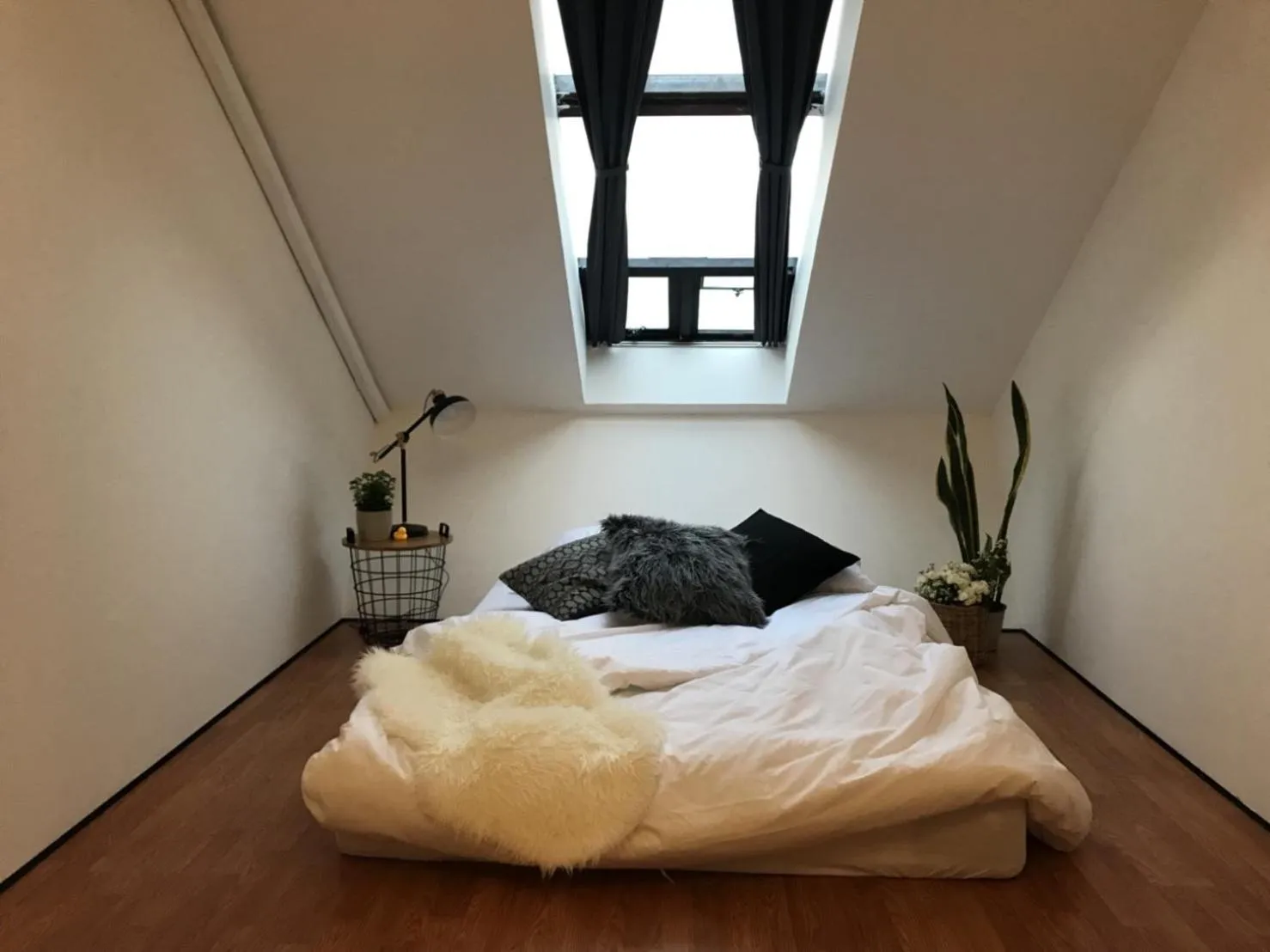 Bed in La Malila Hostel