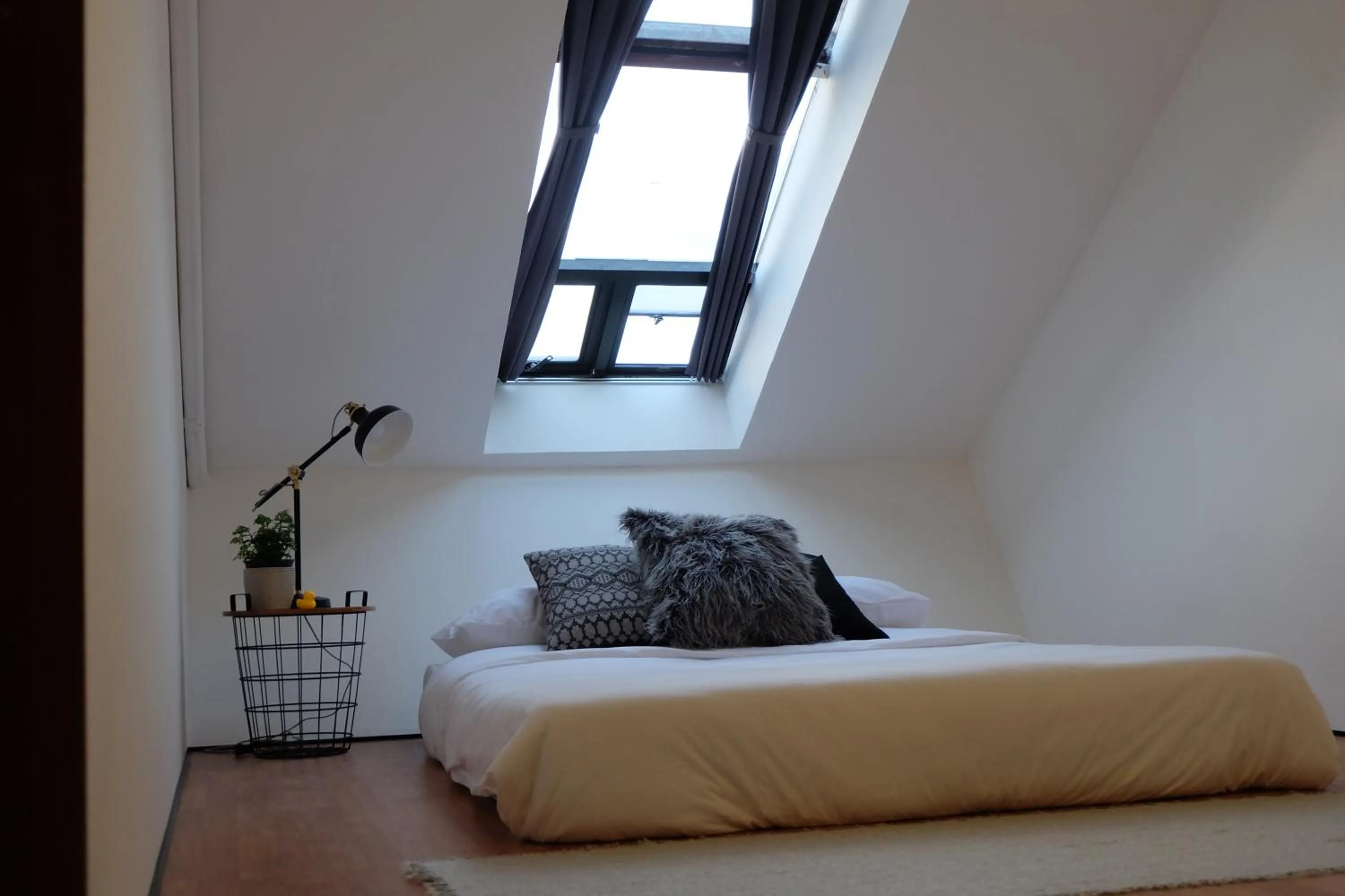 Bed in La Malila Hostel