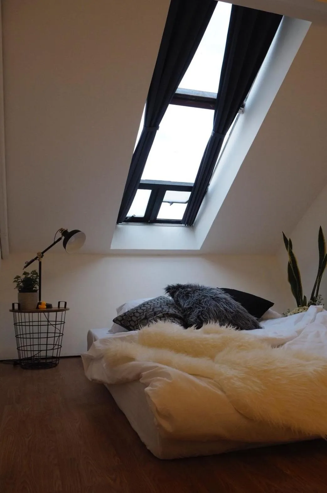 Bed in La Malila Hostel