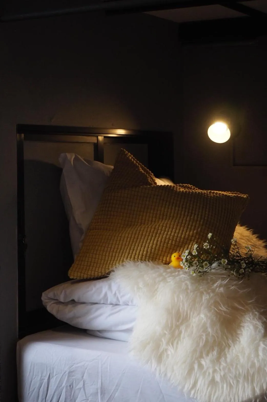 Bed in La Malila Hostel