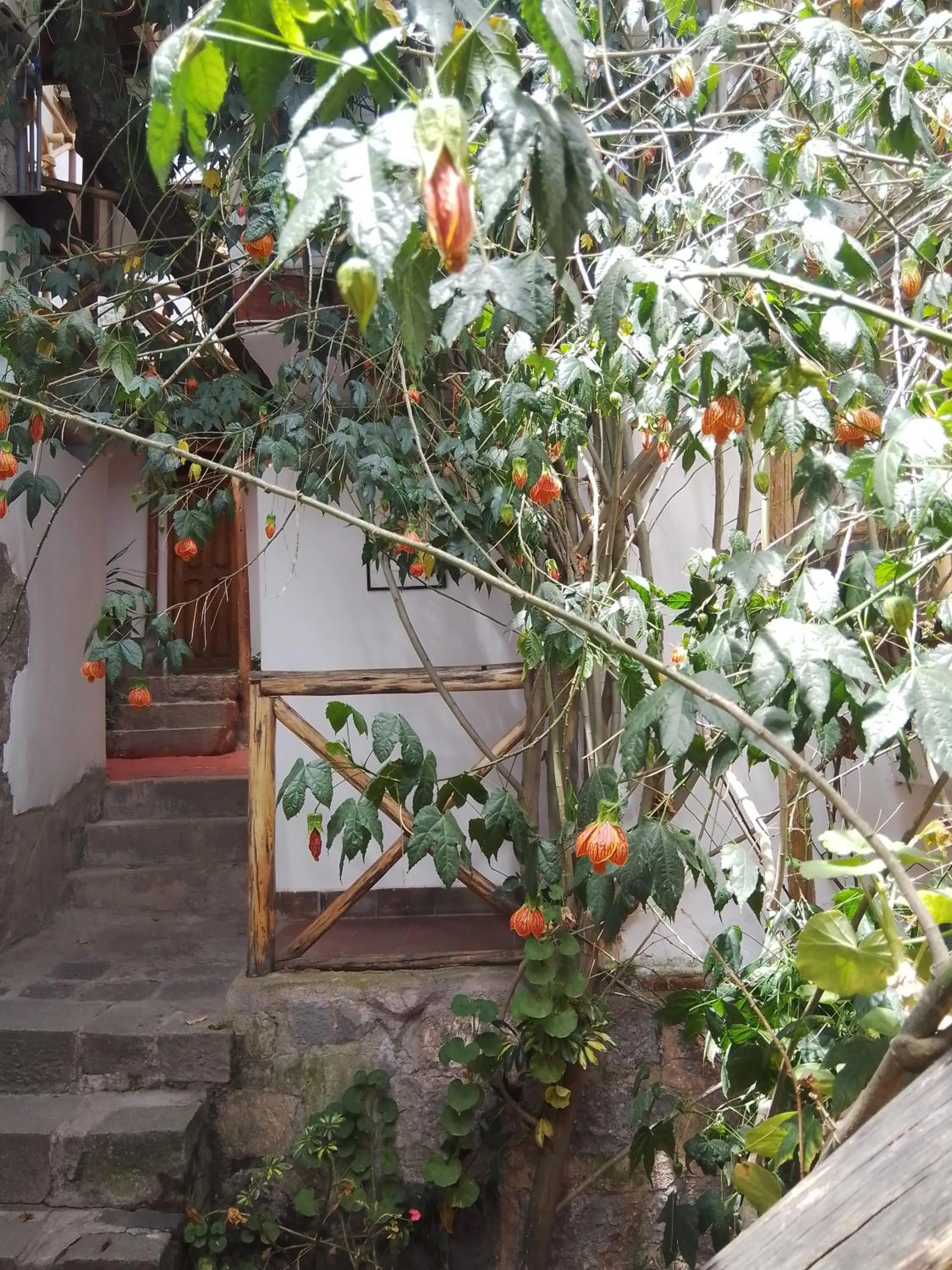 Casa De Mama Cusco - The Treehouse