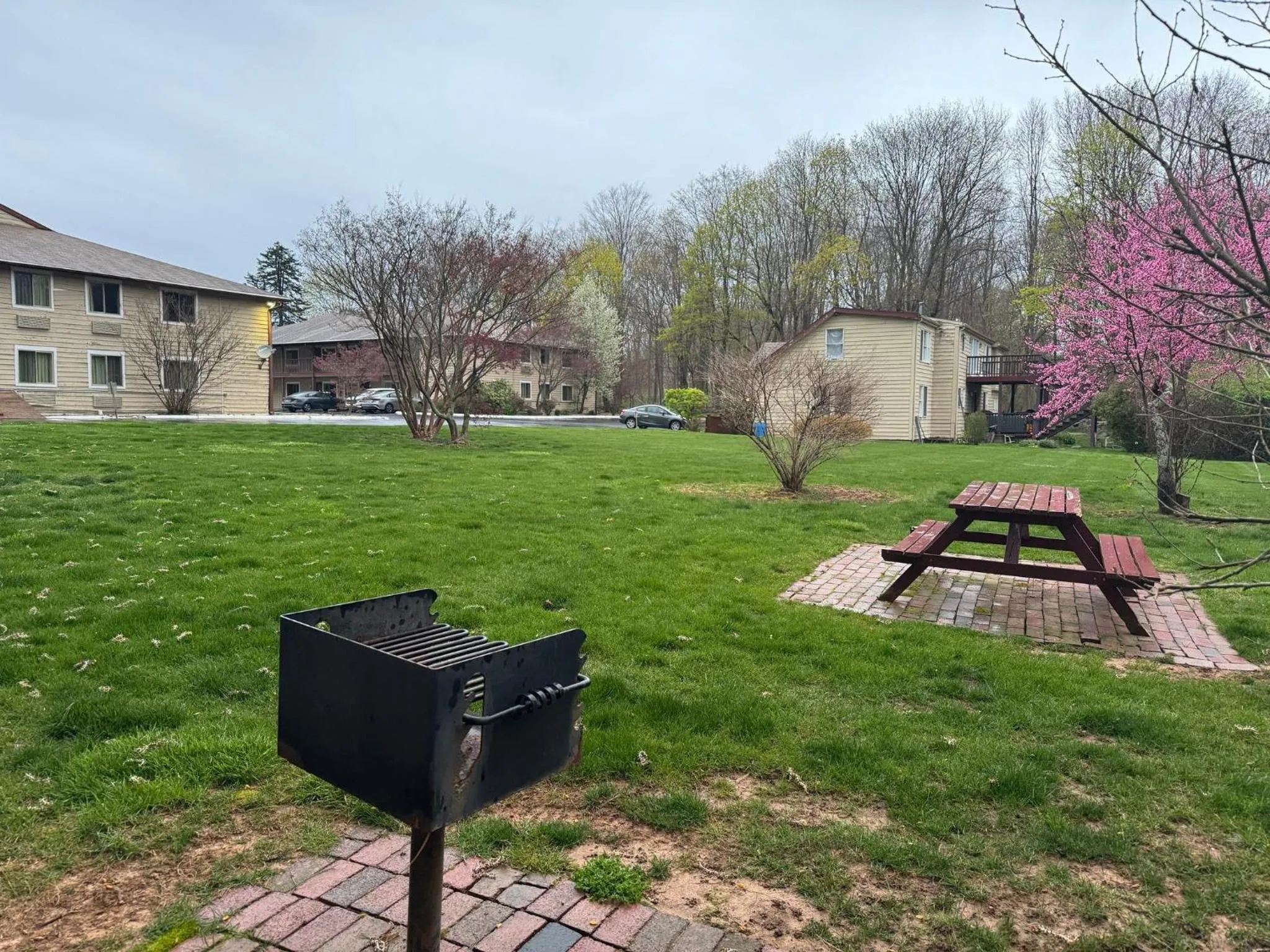 Swimming pool in Red Roof Inn PLUS+ & Suites Guilford