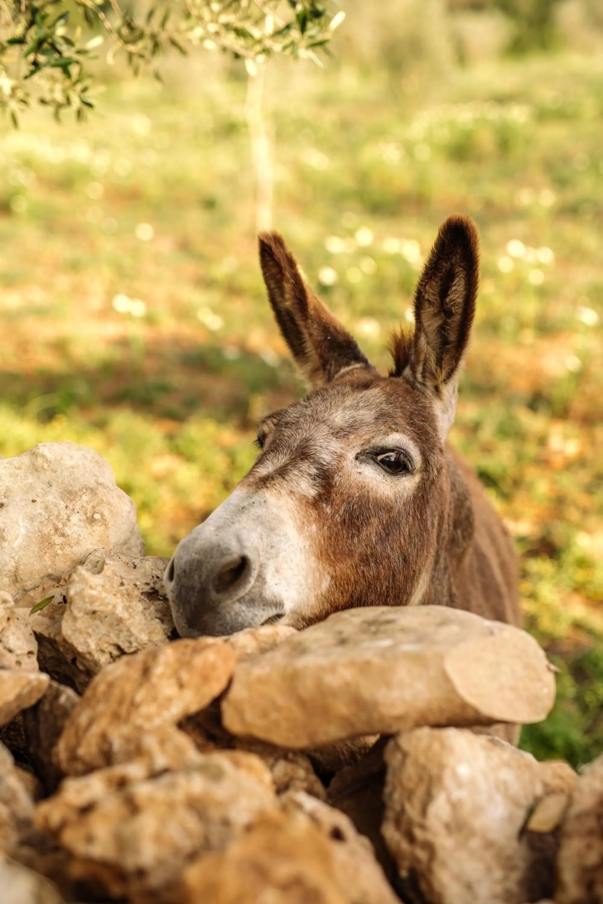 Other in Amagatay Luxury Boutique Hotel - Adults Only