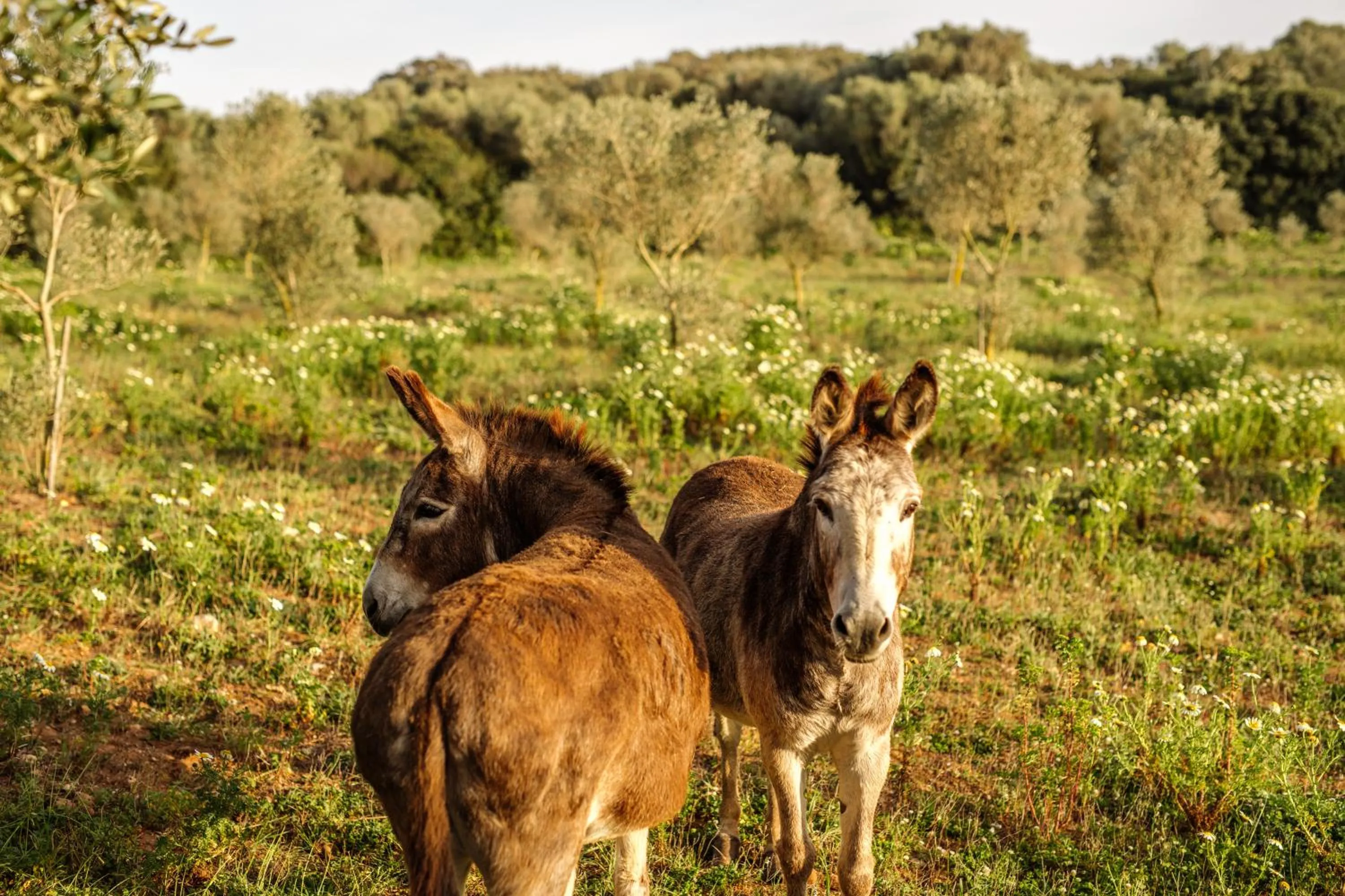 Other in Amagatay Luxury Boutique Hotel - Adults Only