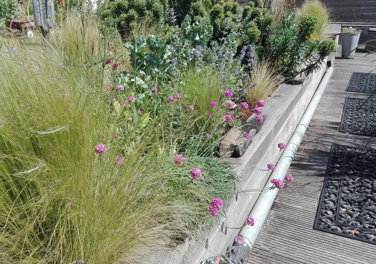 Garden in watervilla-albertje