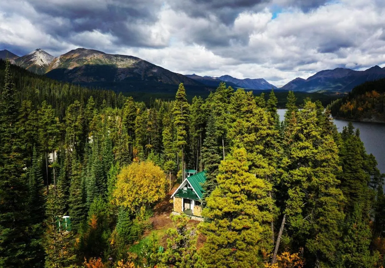 Bird's eye view in Vines and Puppies Hideaway