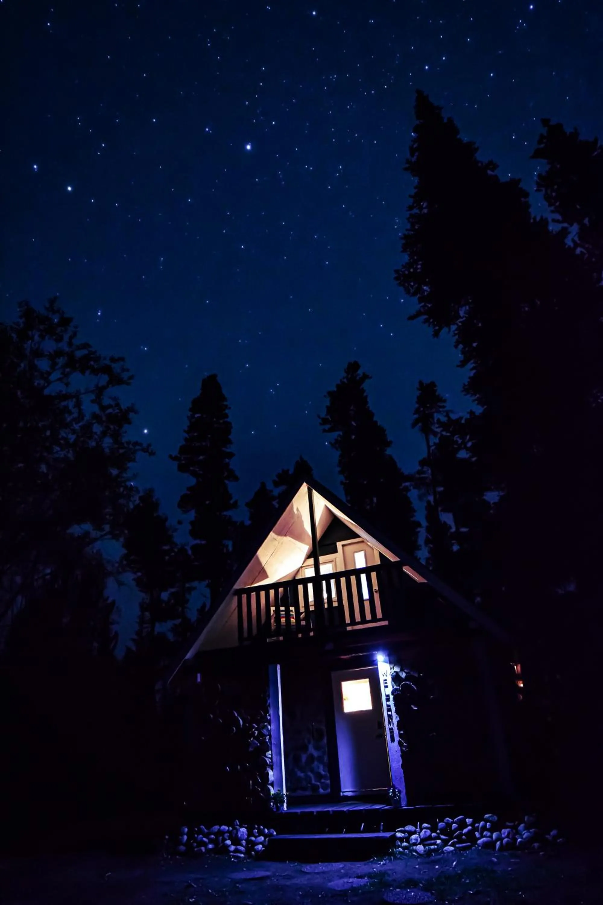 Vines and Puppies Hideaway