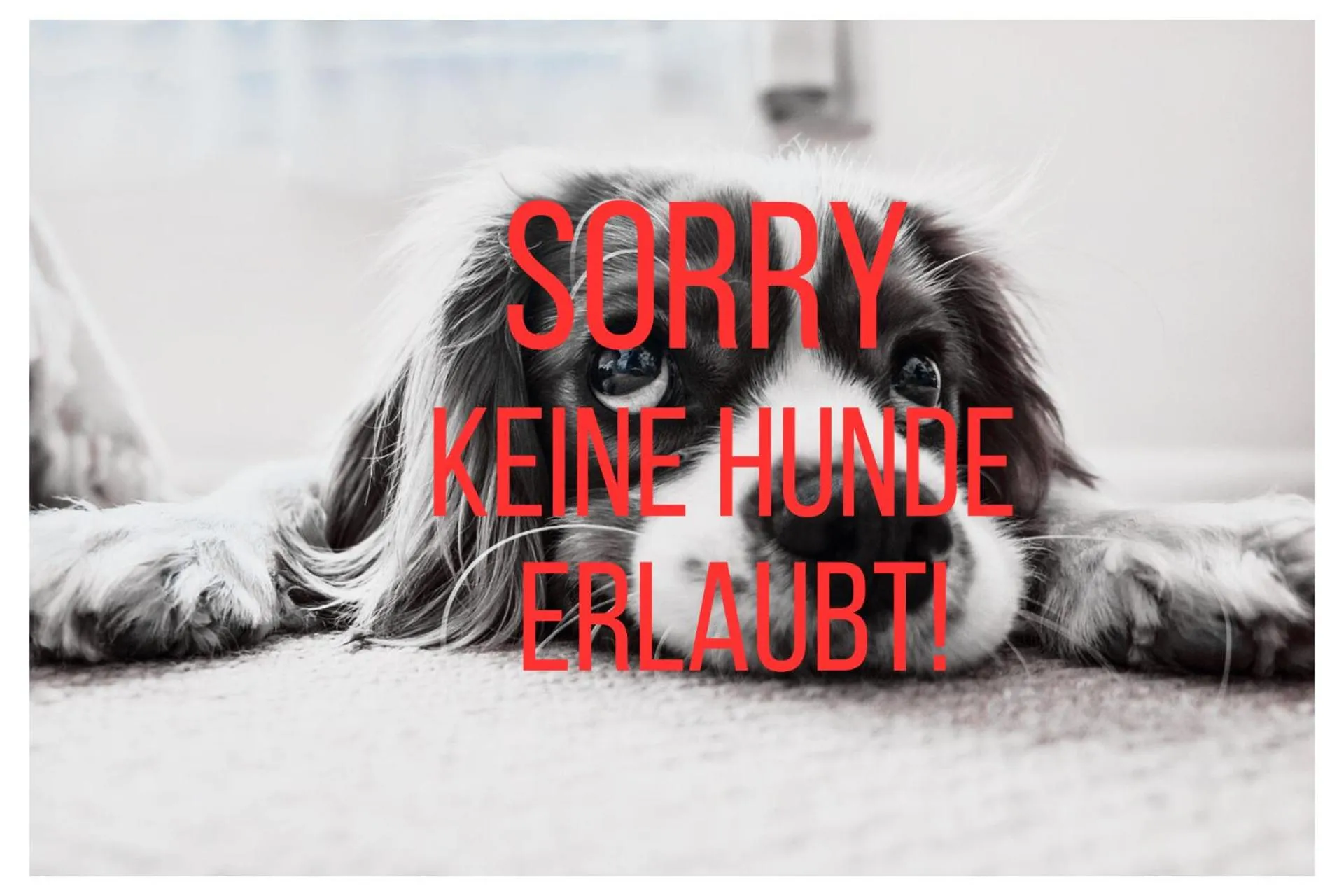 Property building in Hotel-Pension Melcher