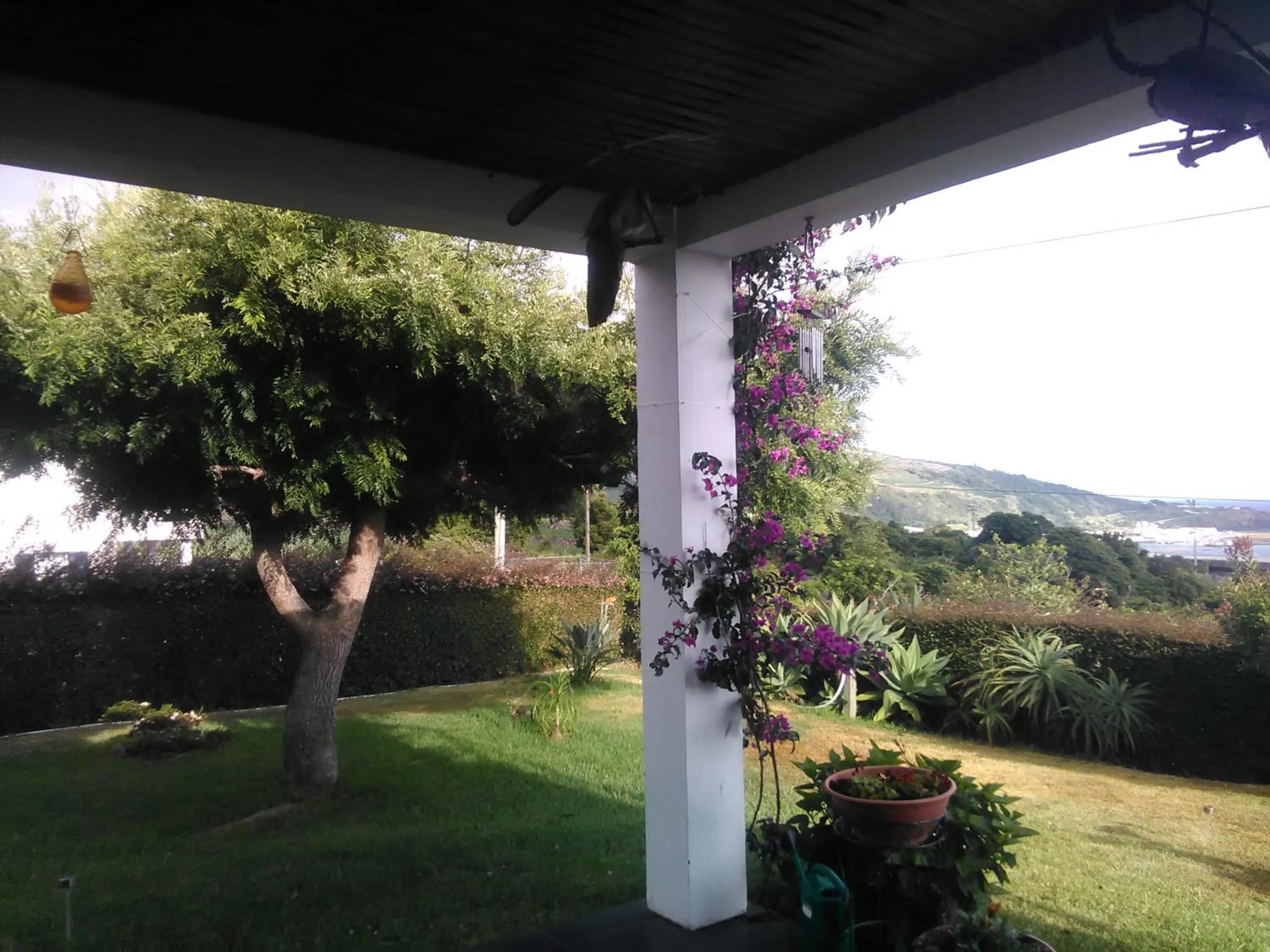 Garden in Casa da Ribeira