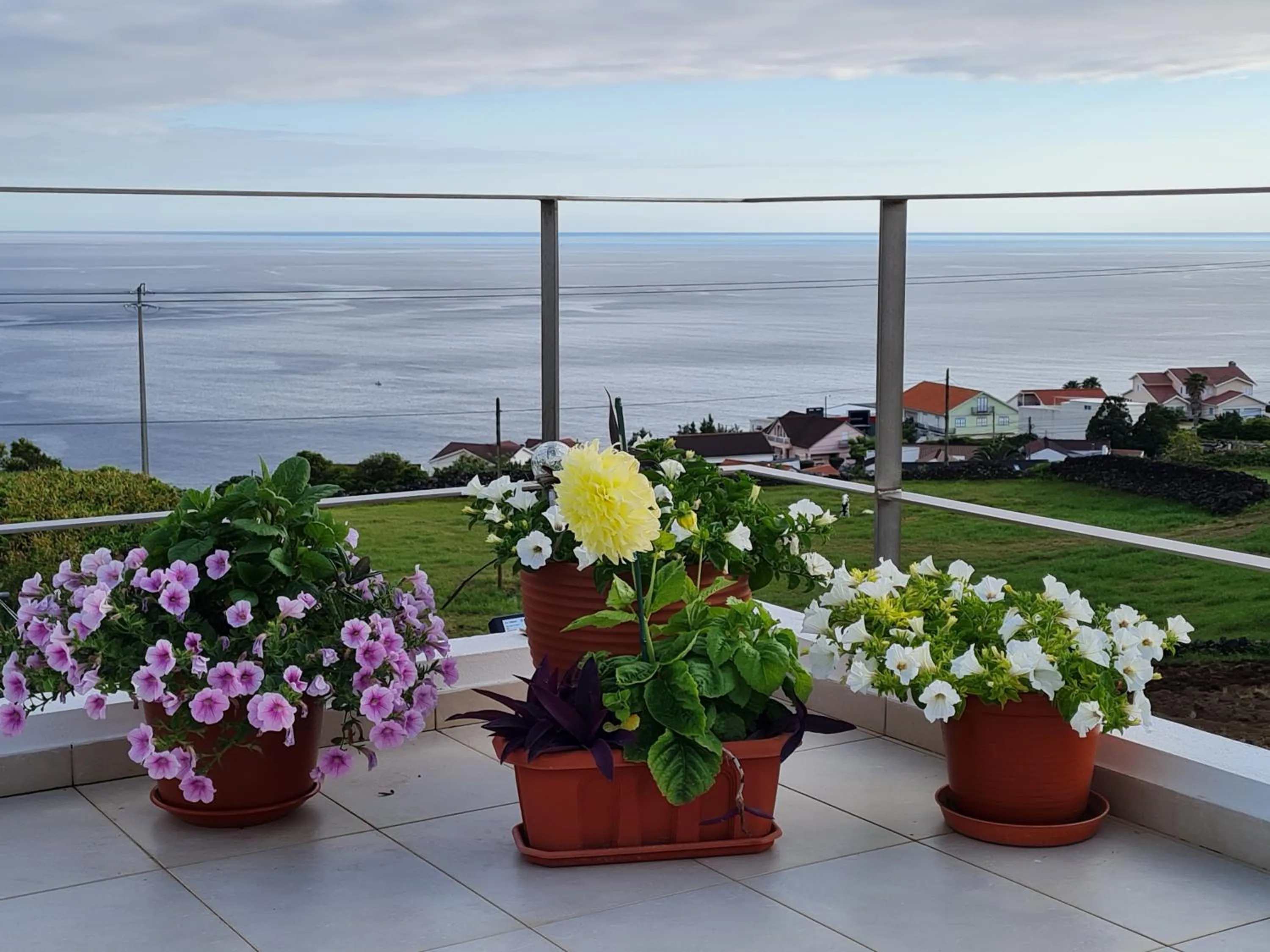 Balcony/Terrace in Casa da Ribeira